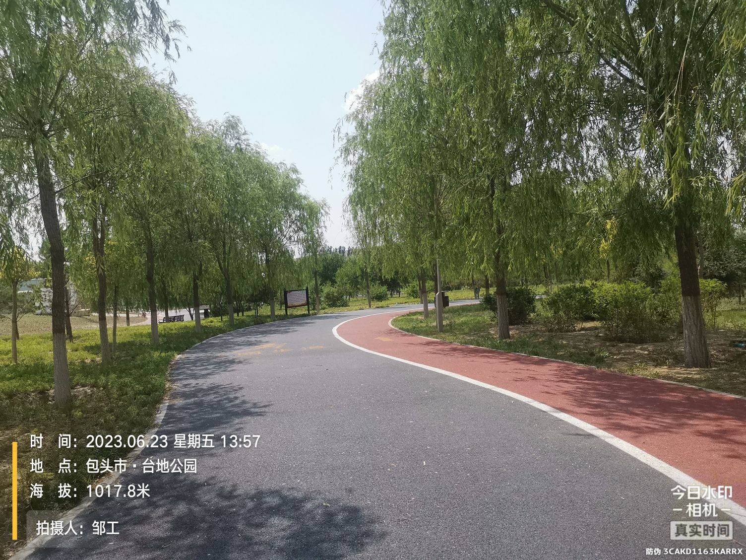 台地公园旅行图片 3