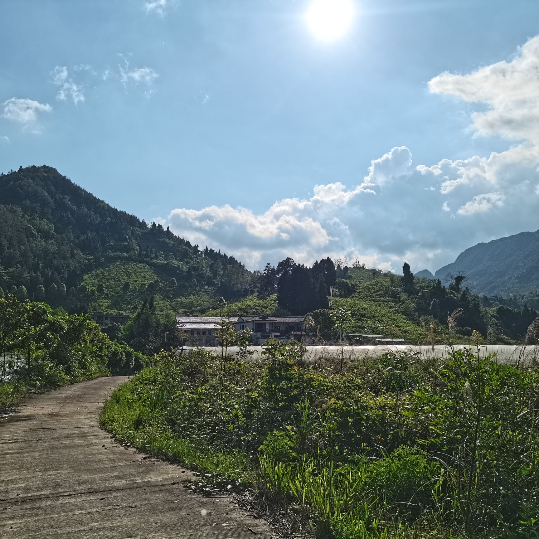 乐天之家生态旅游区旅行图片 2