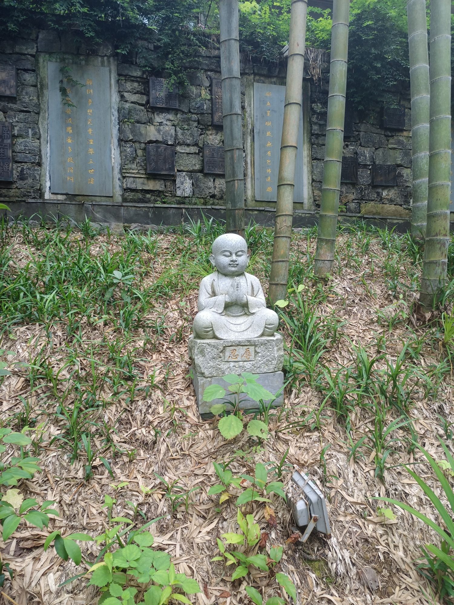 凤凰南华禅寺实景照片