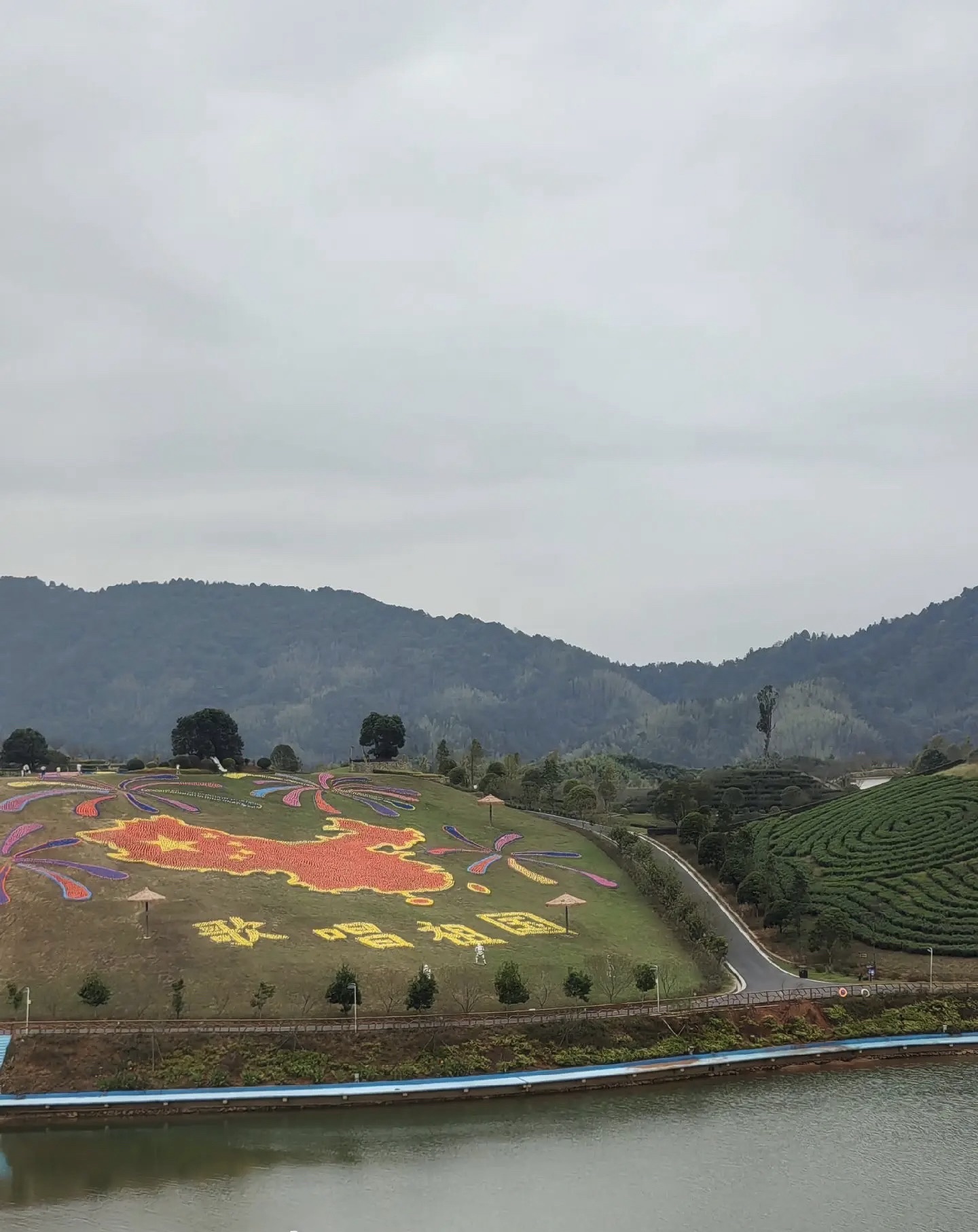 茶乡花海旅行图片 3