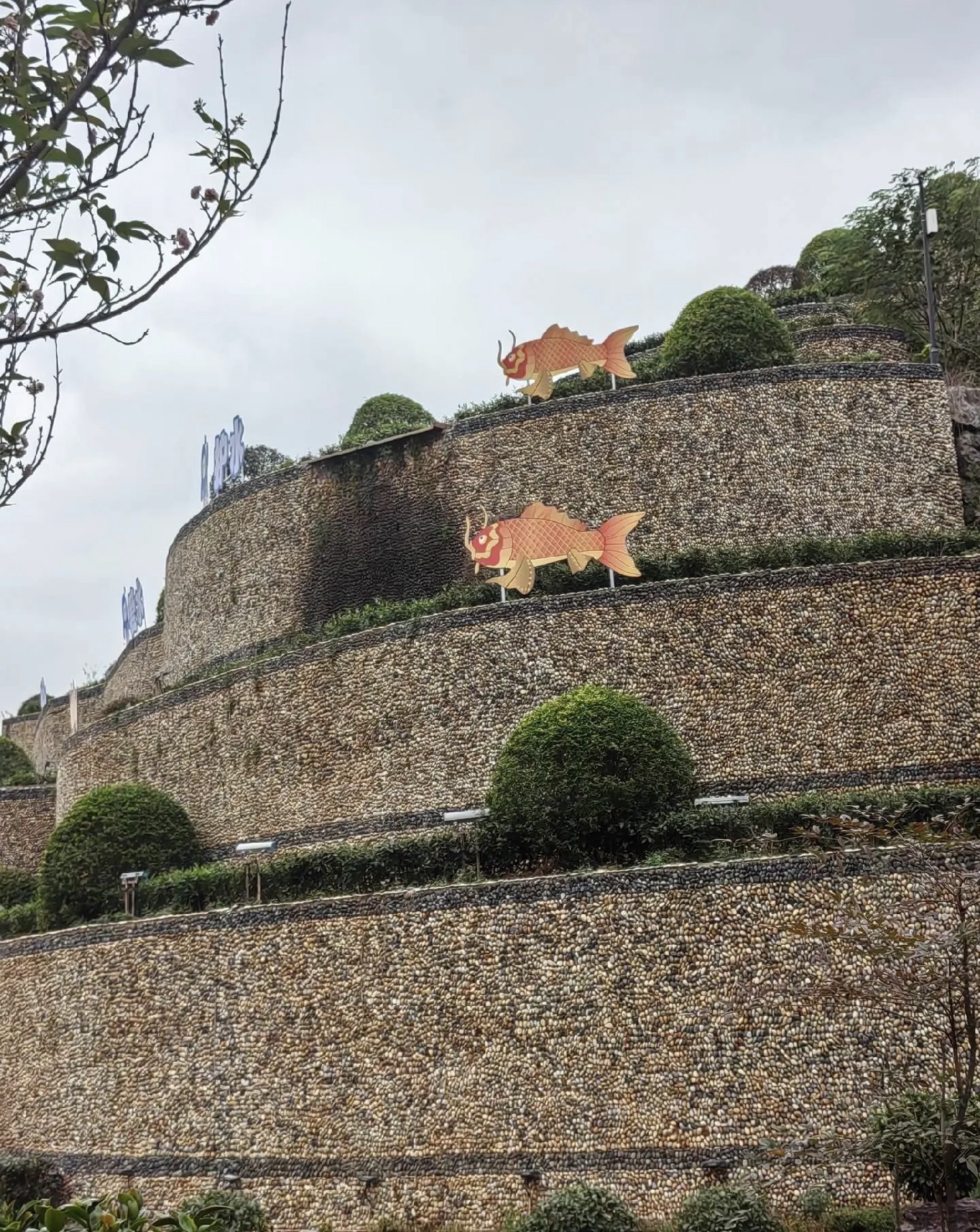 茶乡花海旅行图片 2