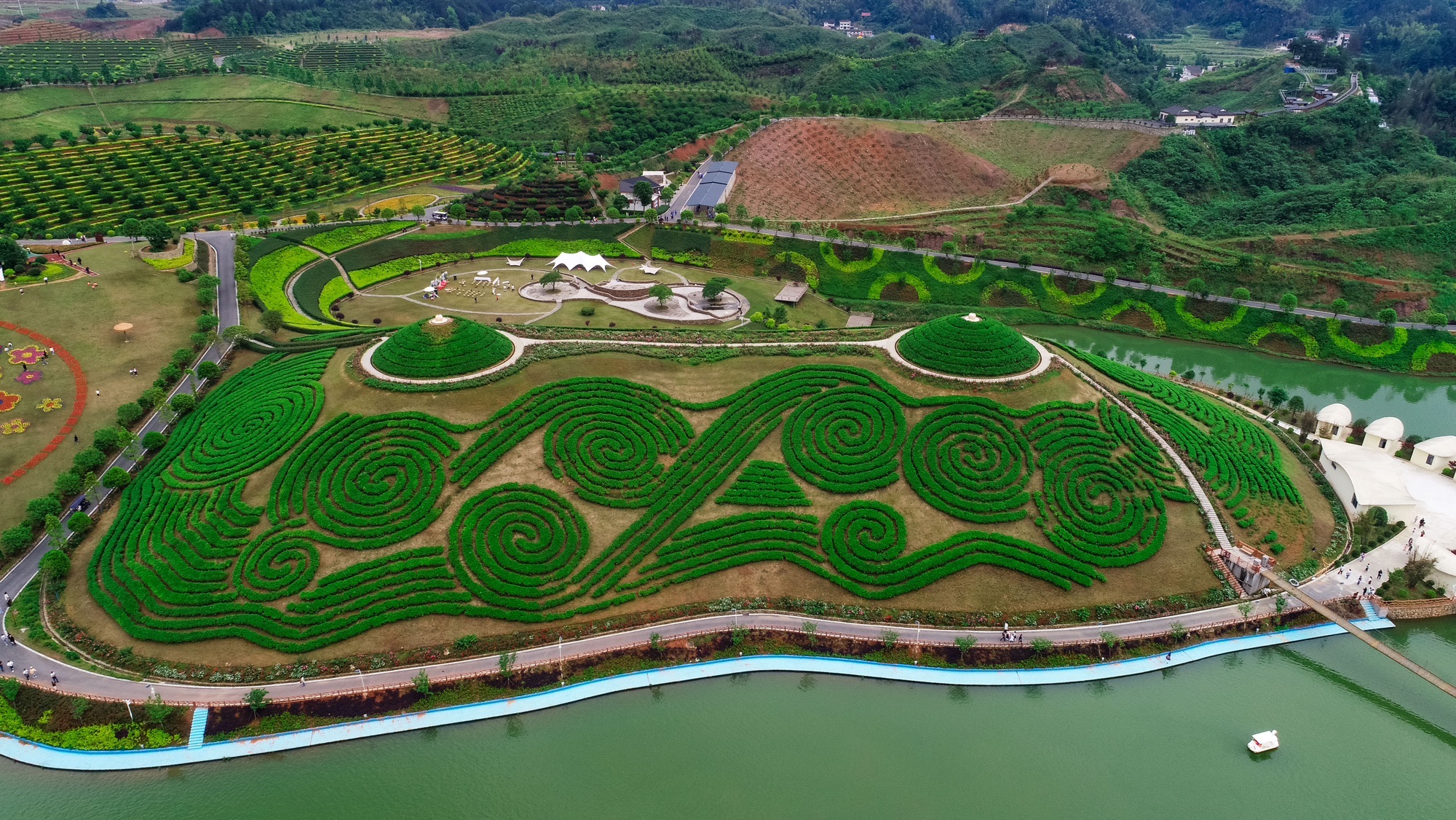 茶乡花海旅行图片 3