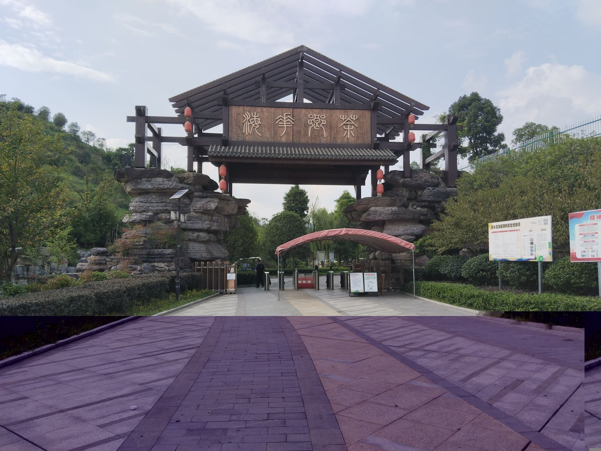 茶乡花海旅行图片 3
