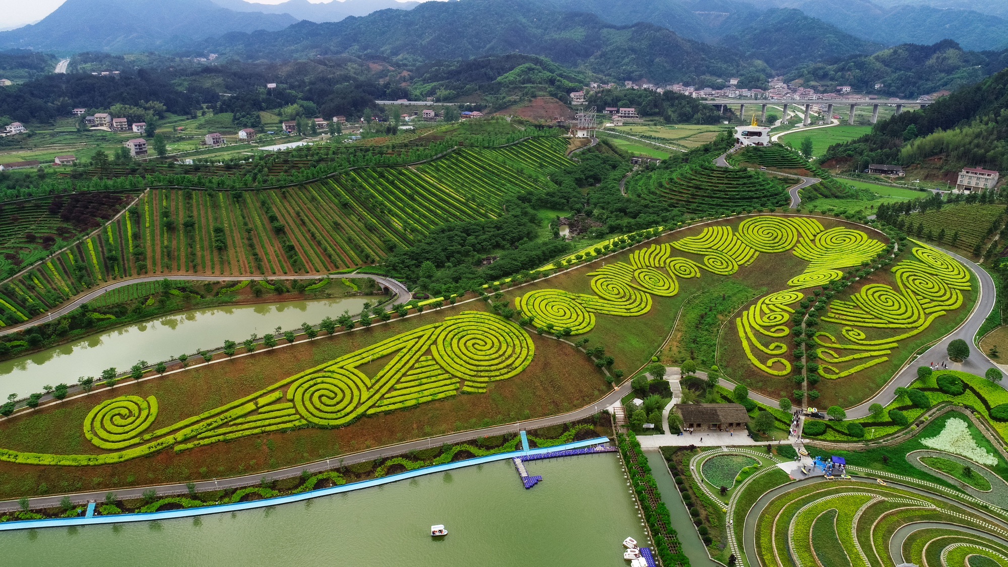 茶乡花海旅行图片 1