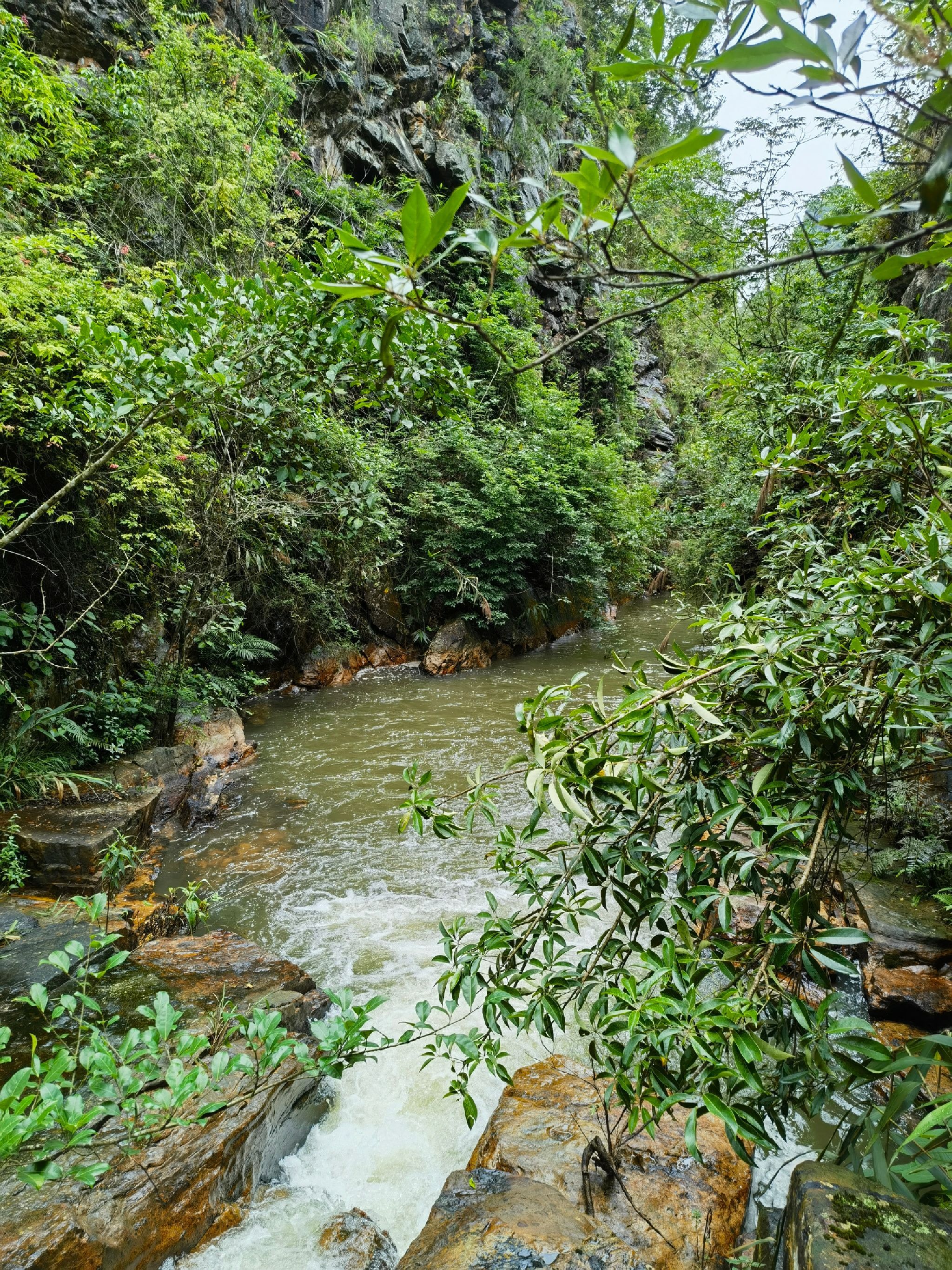 大力瀑布旅行图片 1
