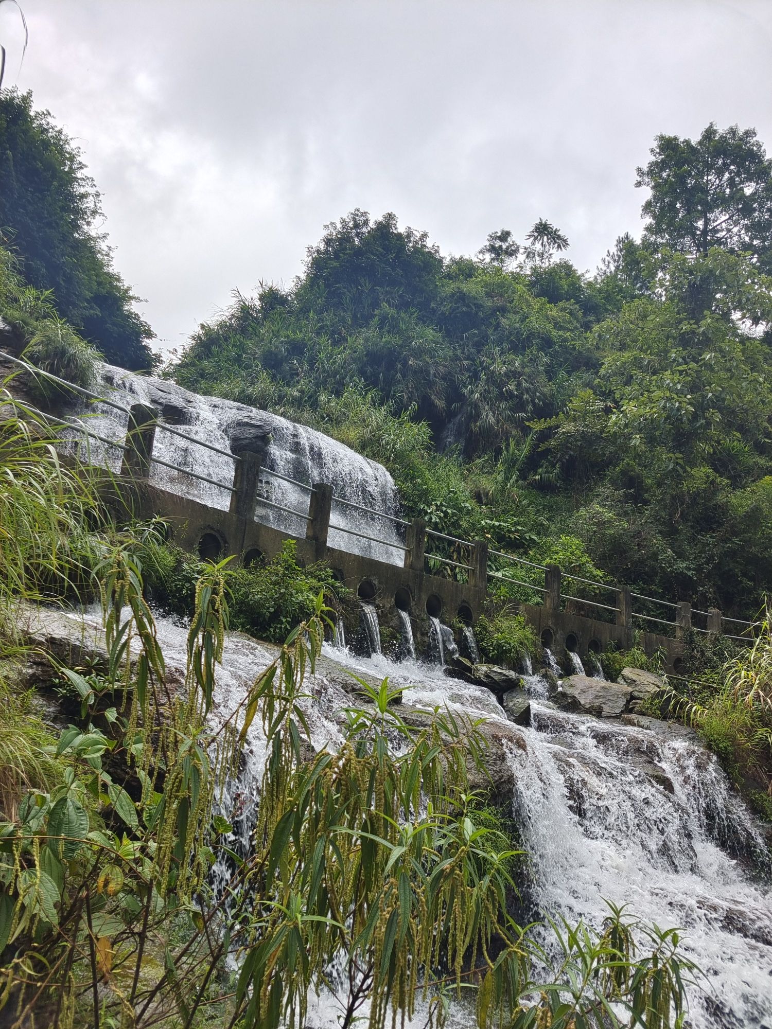 大力瀑布旅行图片 3