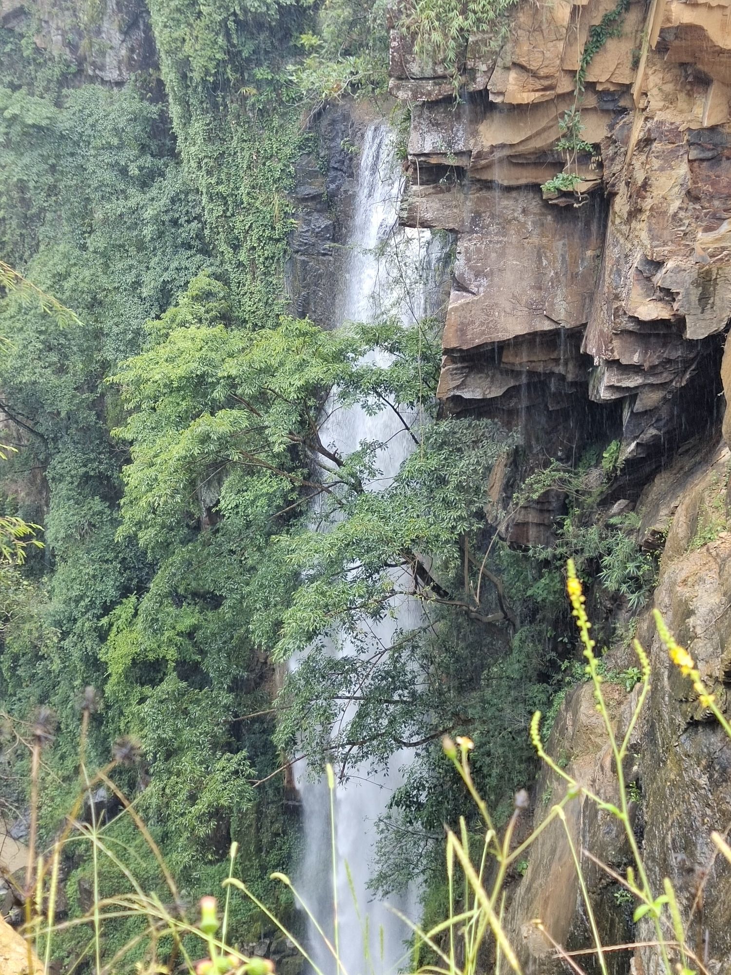 大力瀑布旅行图片 1