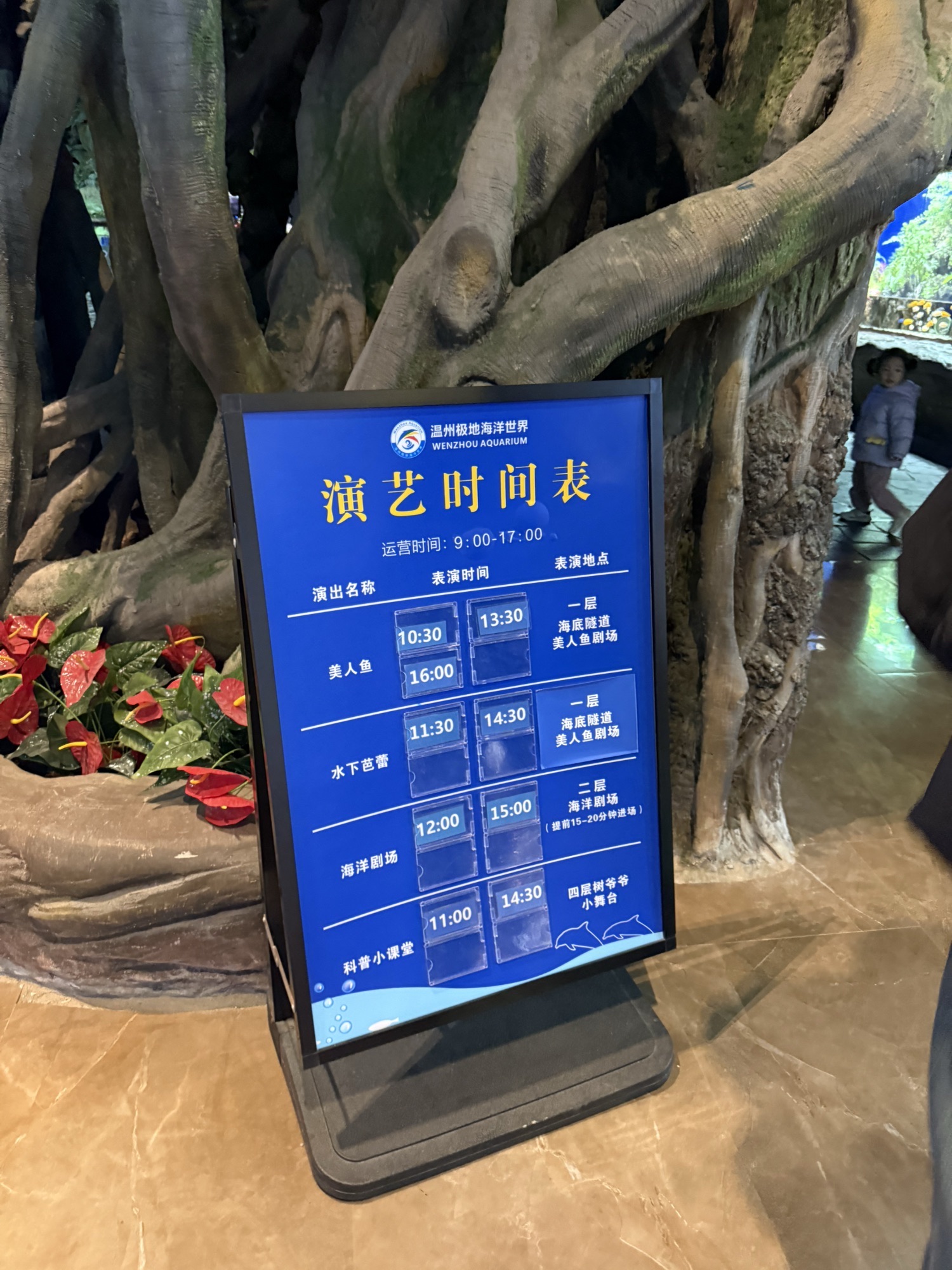 温州极地海洋世界旅行图片 2