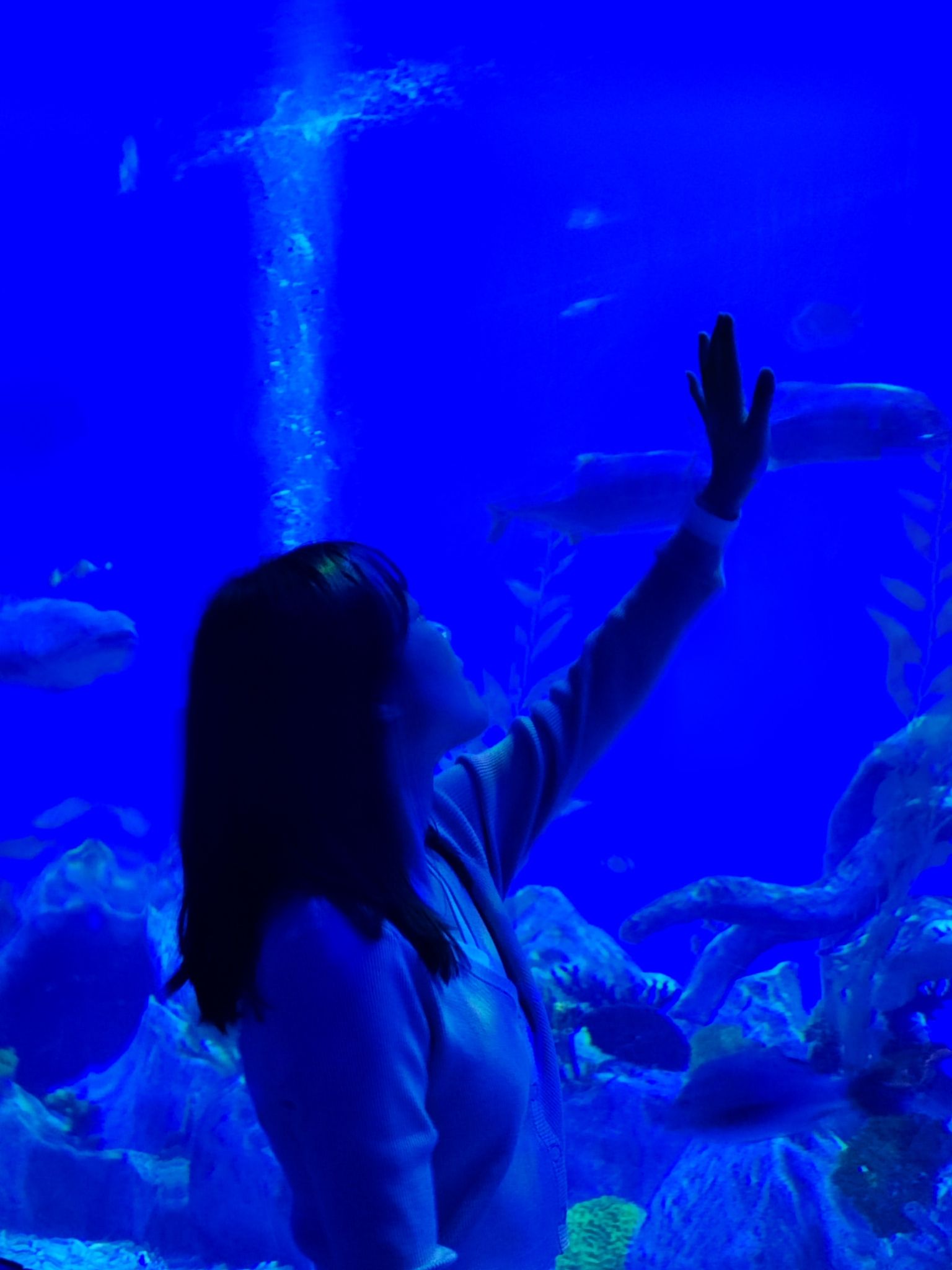 温州极地海洋世界旅行图片 1