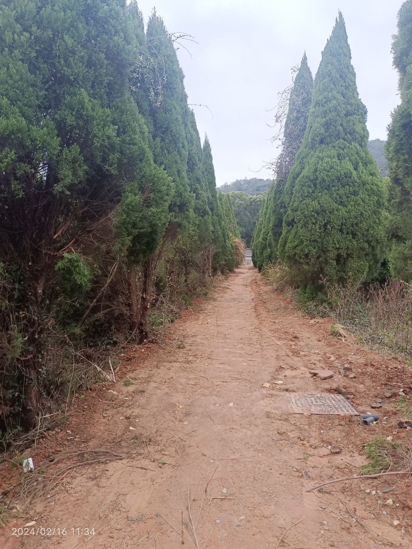 朱权墓旅行图片 2
