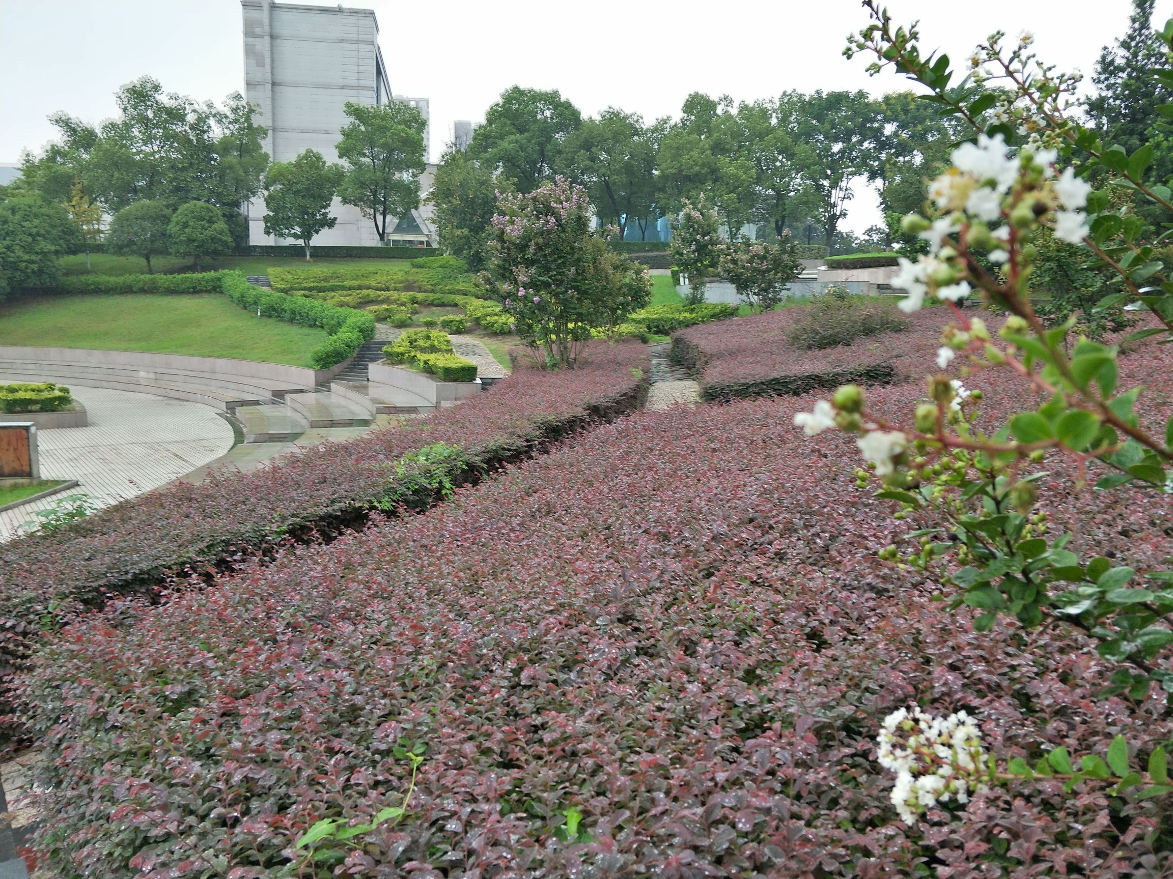 江大勤人谷旅行图片 3