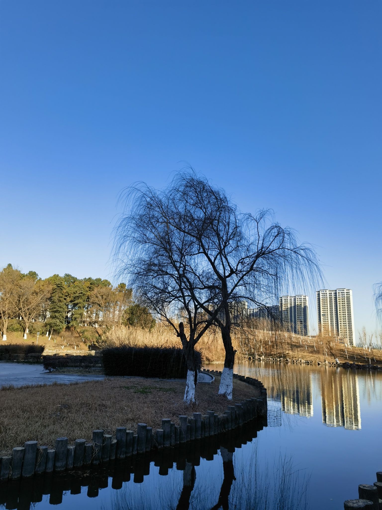 江大勤人谷旅行图片 2
