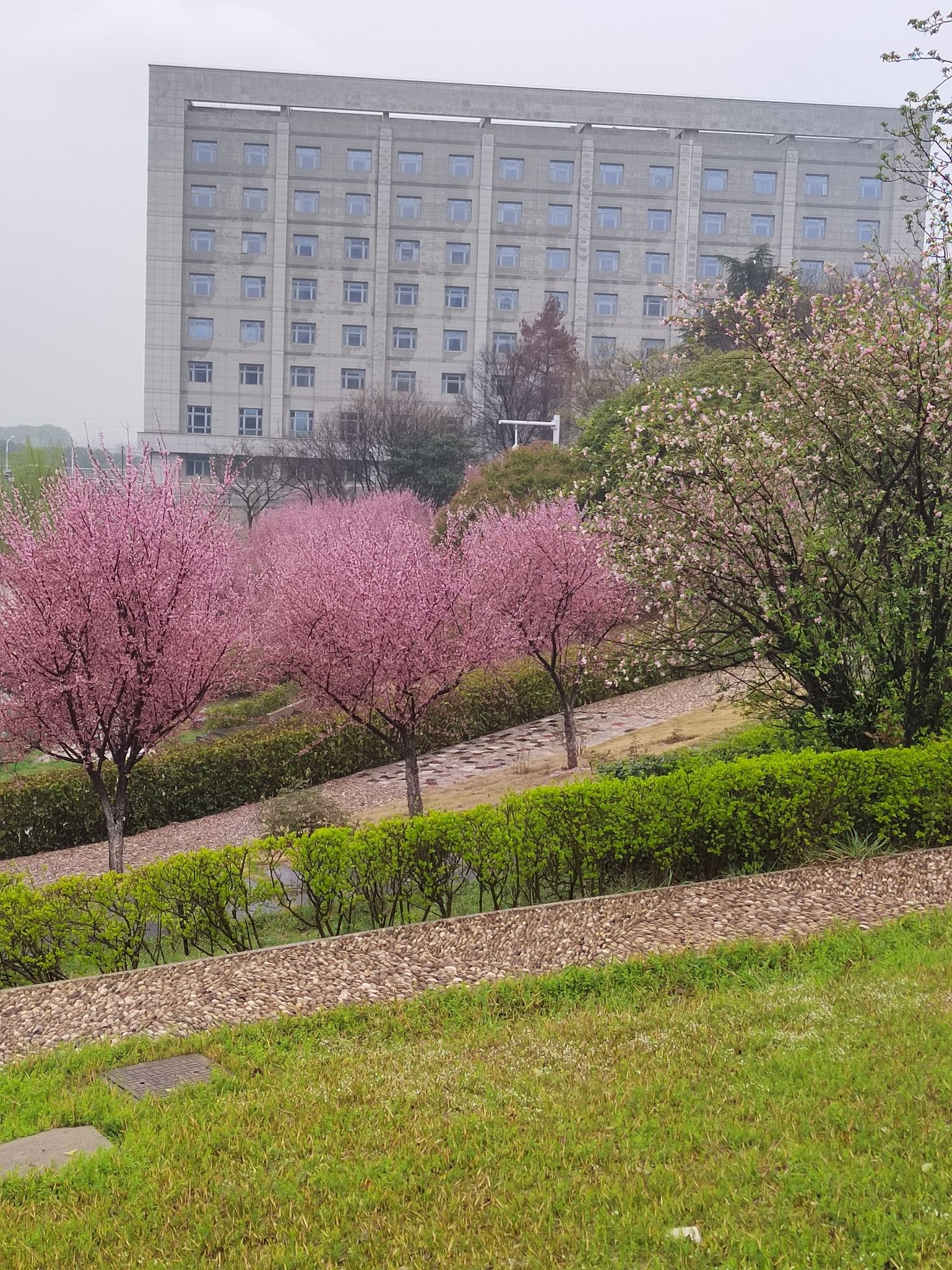 江大勤人谷旅行图片 2