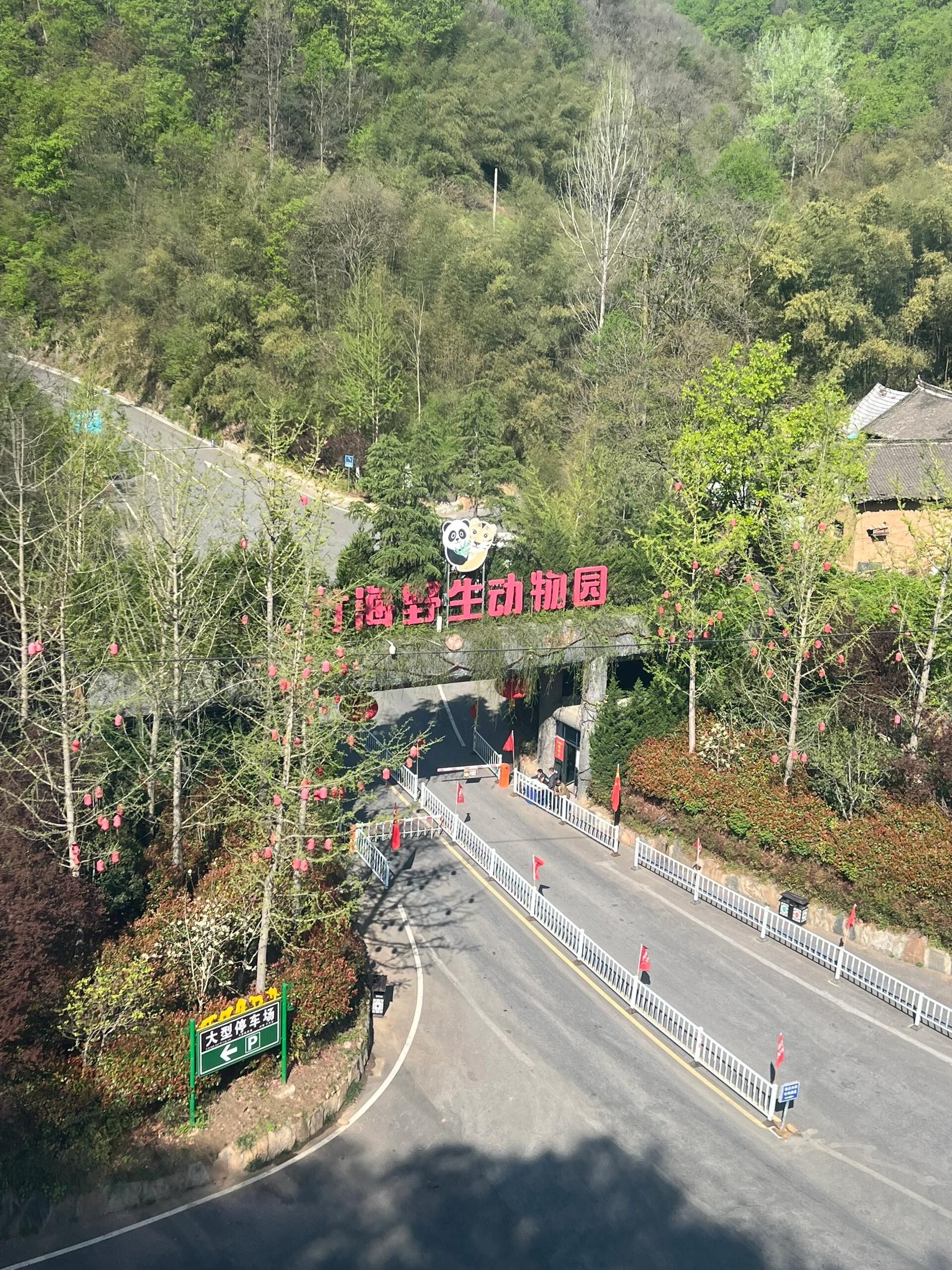 栾川竹海野生动物园旅行图片 3