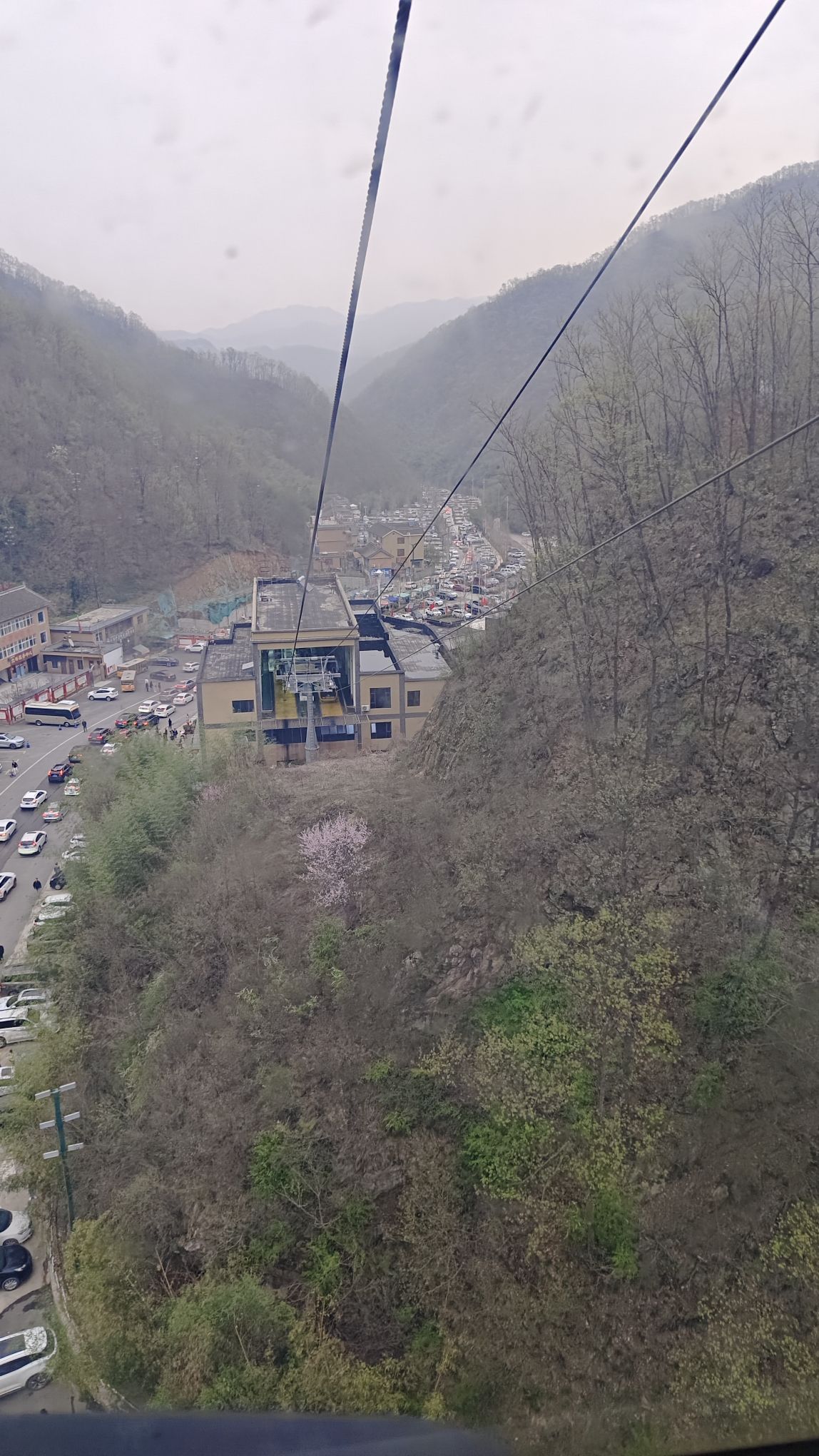 栾川竹海野生动物园旅行图片 2