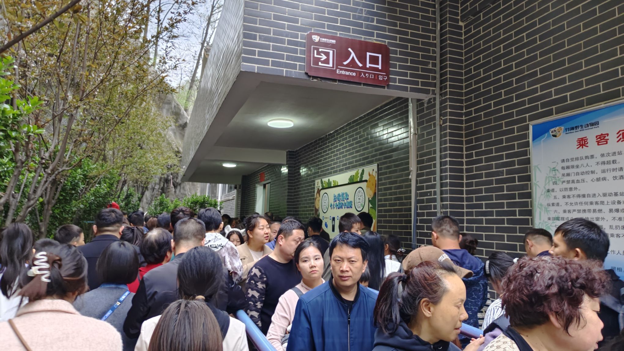 栾川竹海野生动物园旅行图片 3