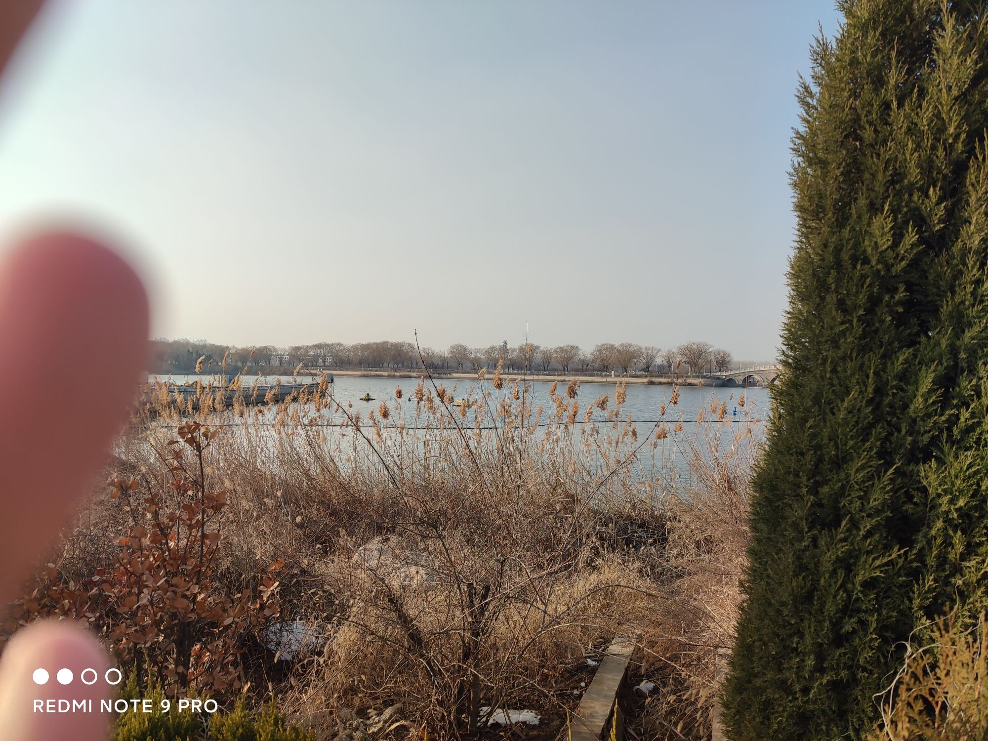 孙武湖金水湾景区旅行图片 1