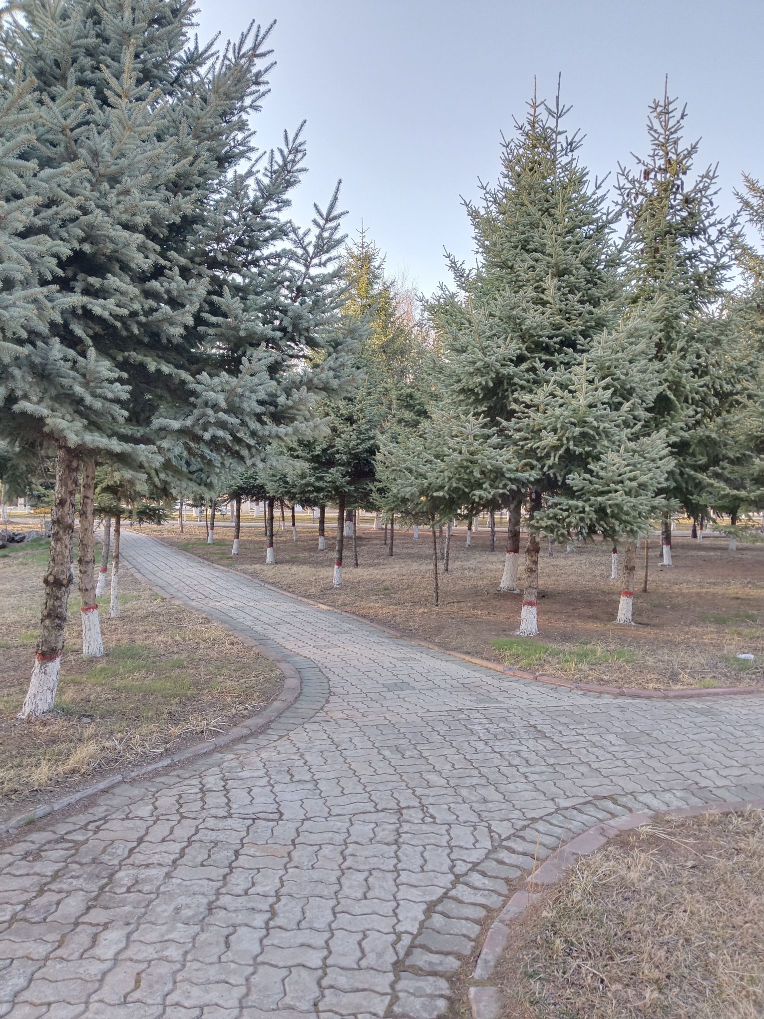 大庆市采油十厂公园旅行图片 2
