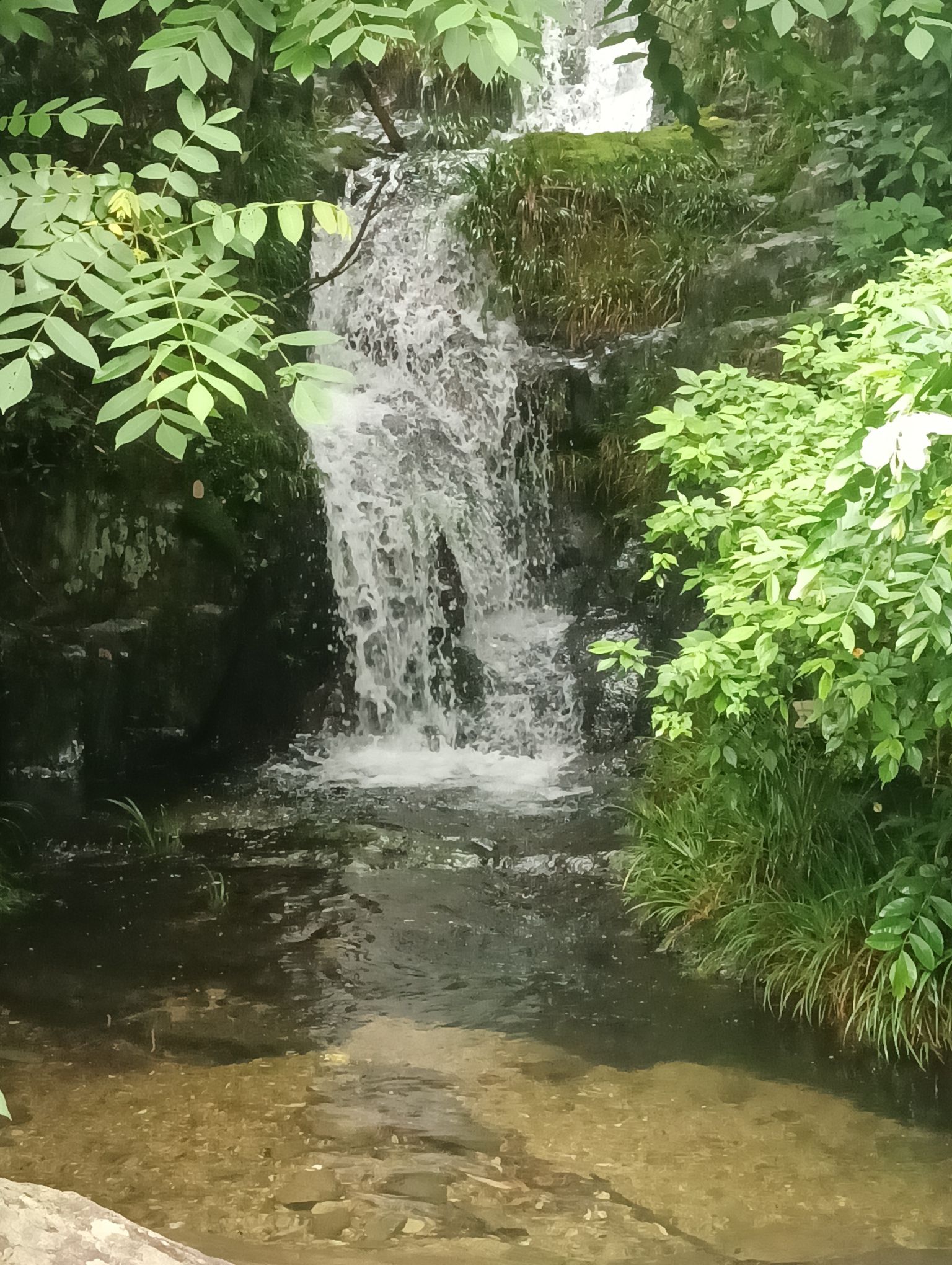 呈阳村金龙潭景点旅行图片 1