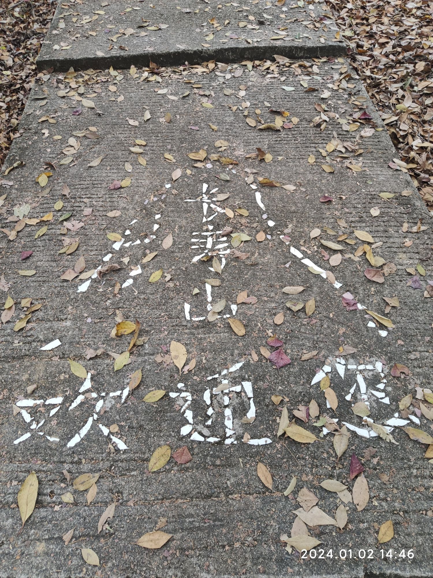 丙村长寿山森林公园旅行图片 2