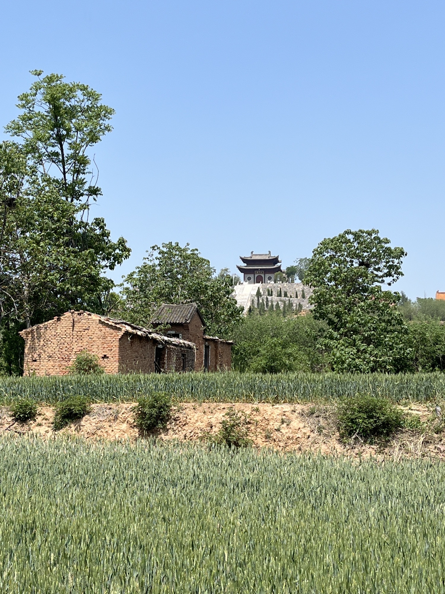武则天太子升仙碑旅行图片 1