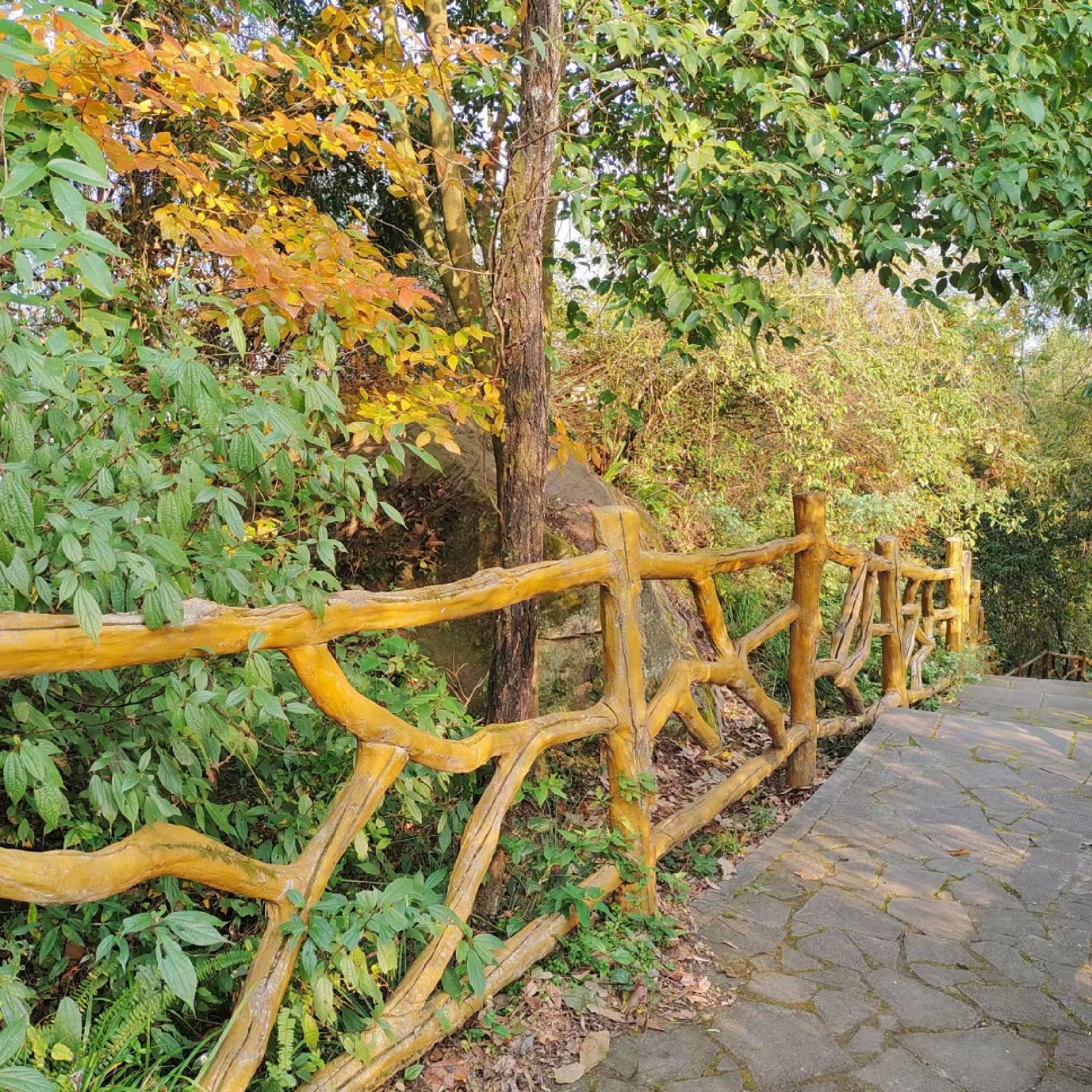 云城寨公园旅行图片 2