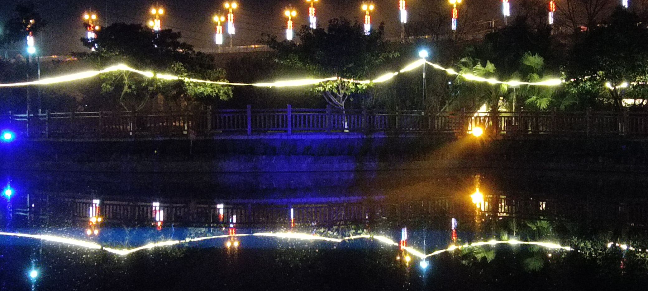 湿地公园旅行图片 2