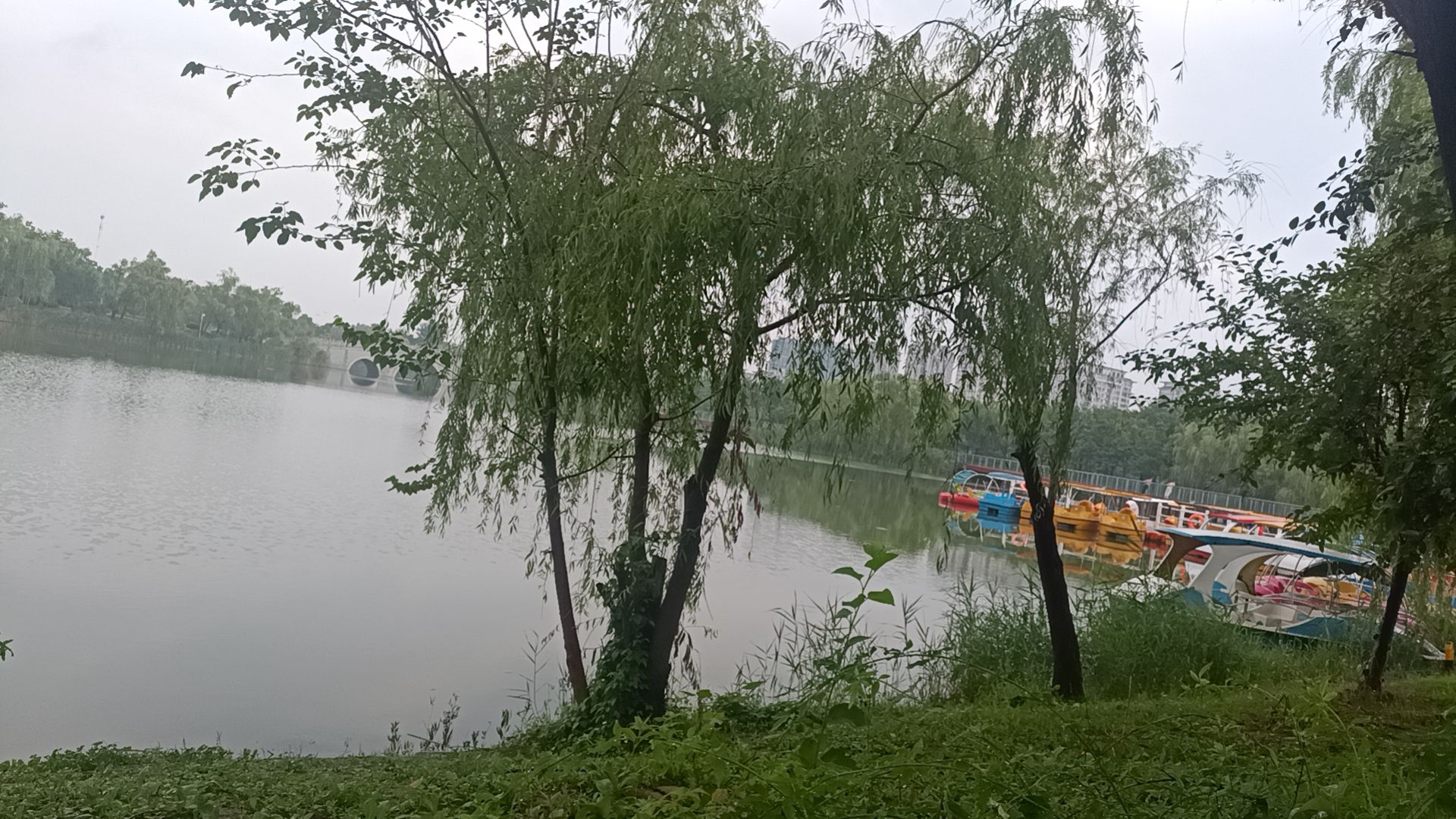 睢宁公园旅行图片 3