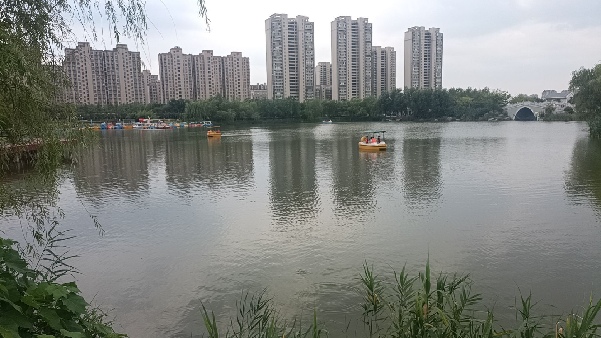 睢宁公园旅行图片 1