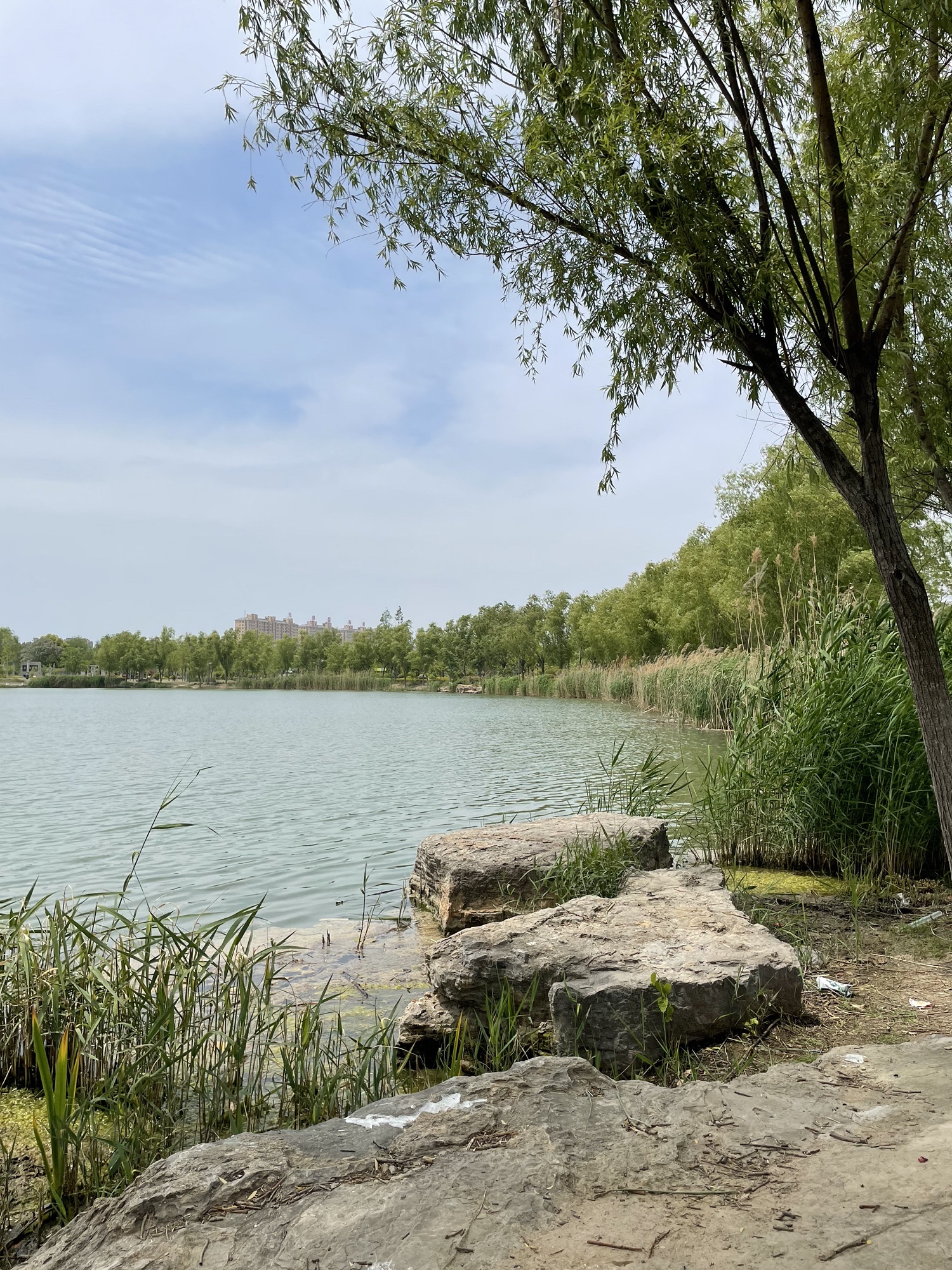 睢宁公园旅行图片 3