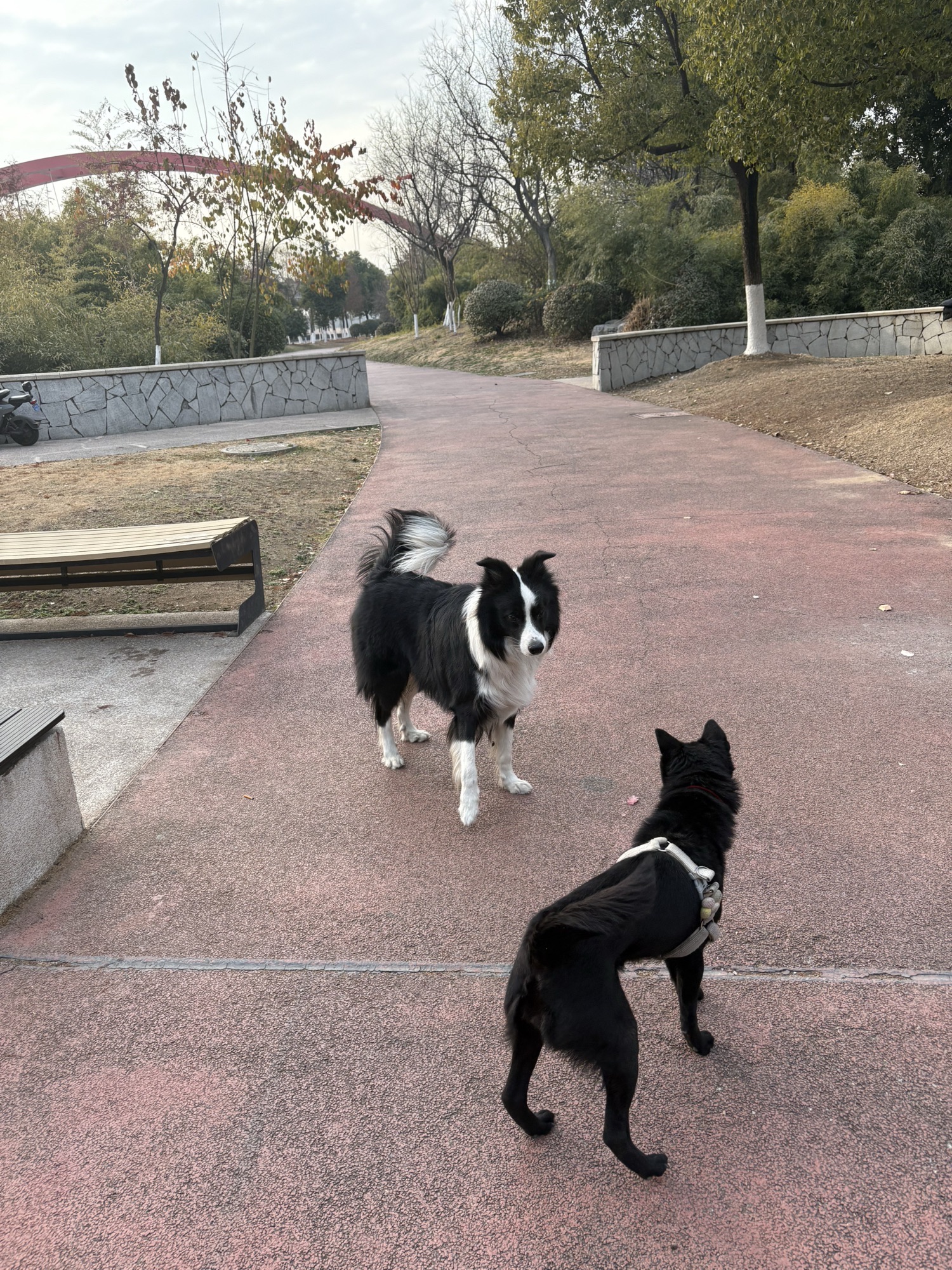 河塔聆听旅行图片 1