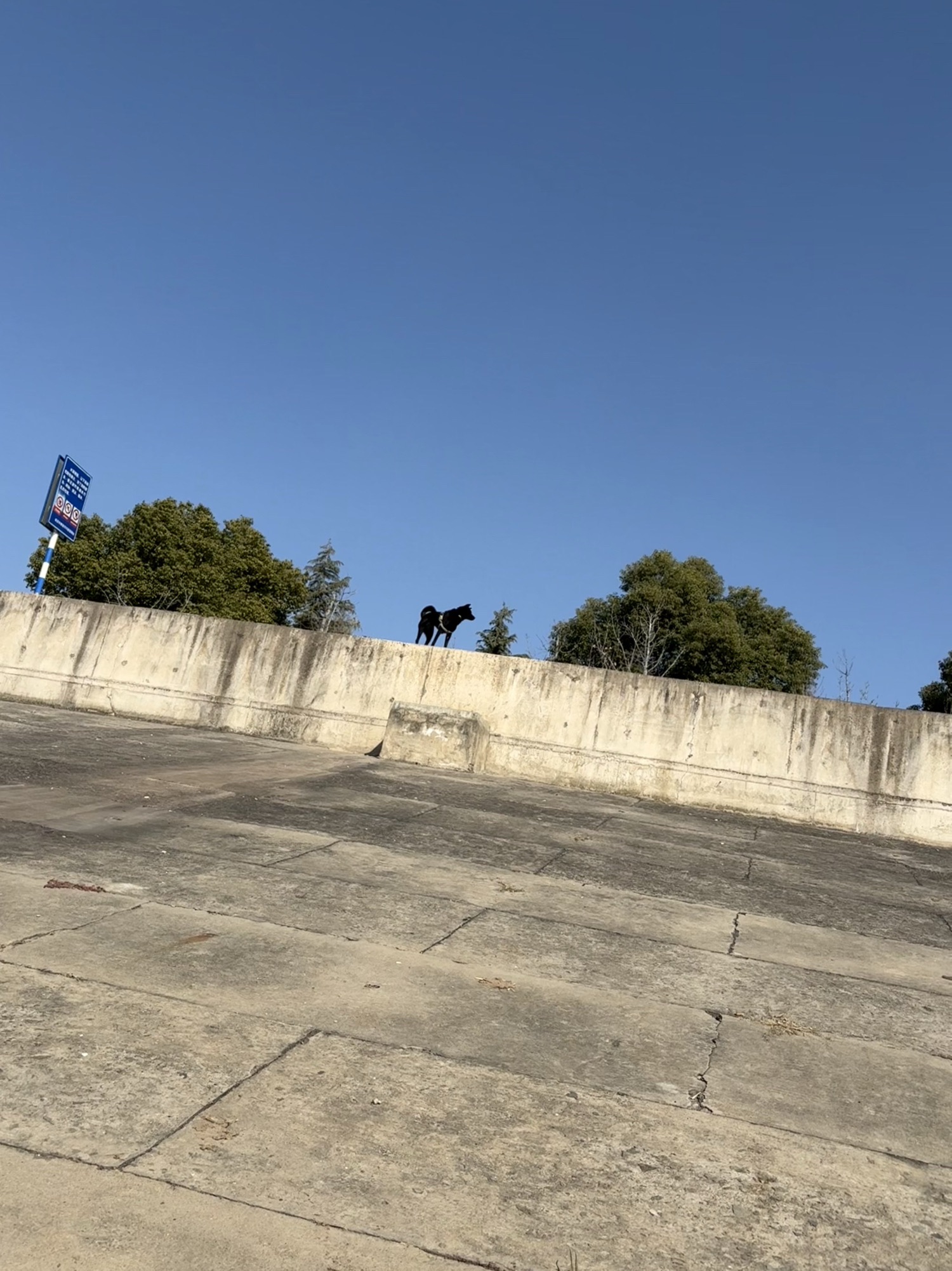 河塔聆听旅行图片 3