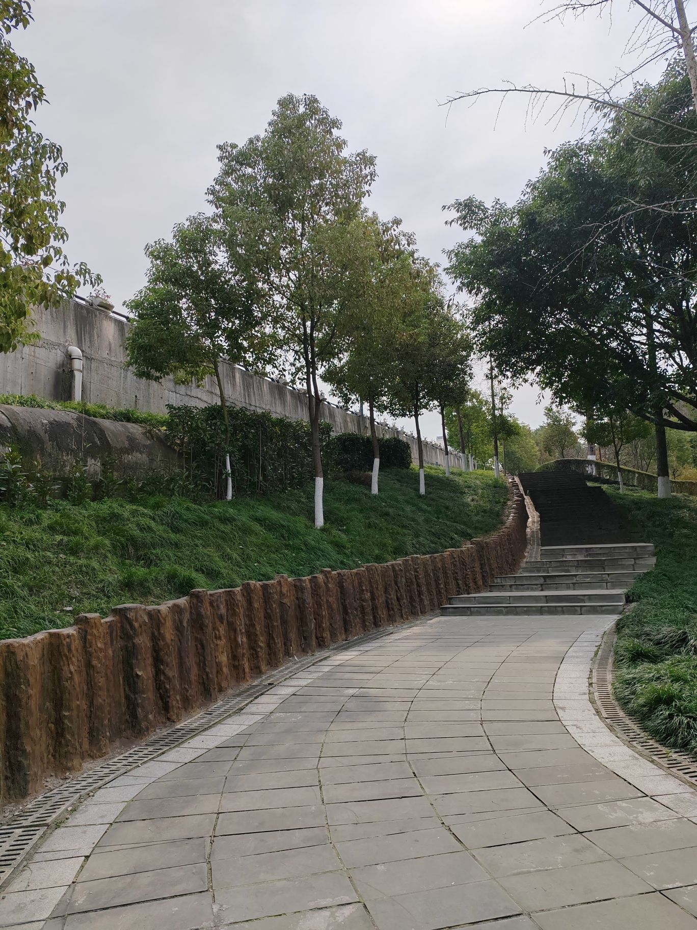 莲花寺公园旅行图片 1