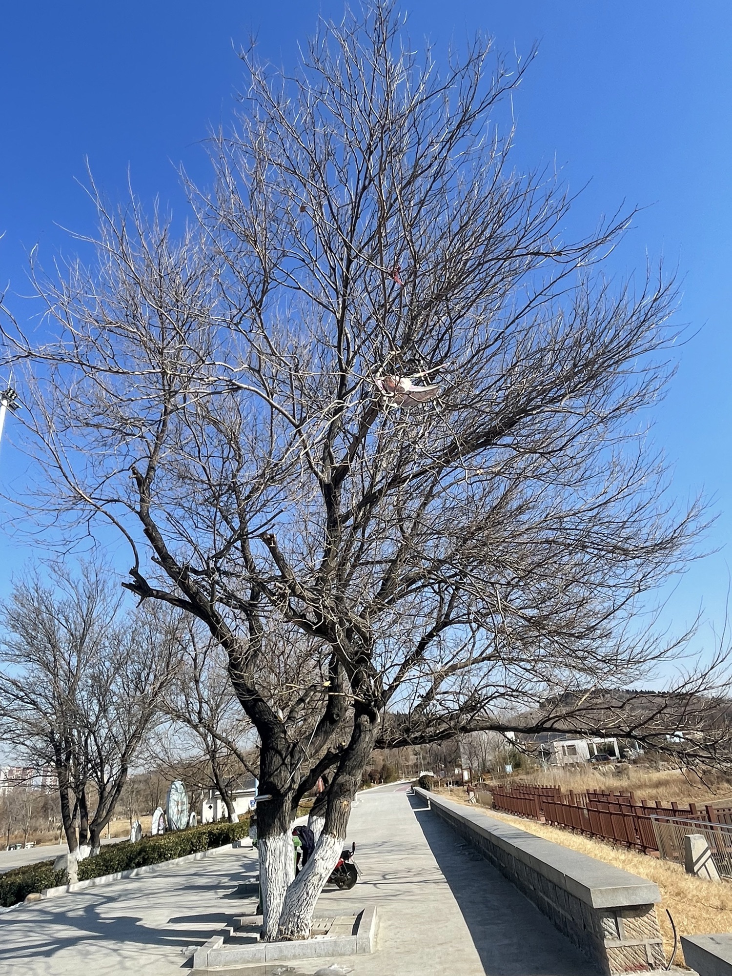 云翠湖公园旅行图片 1