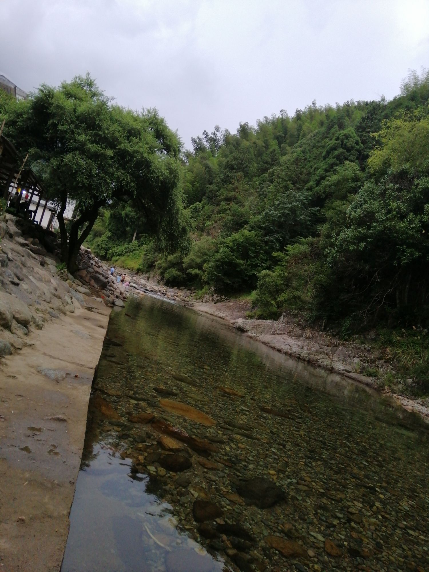 江西武夷山自然保护区旅行图片 2