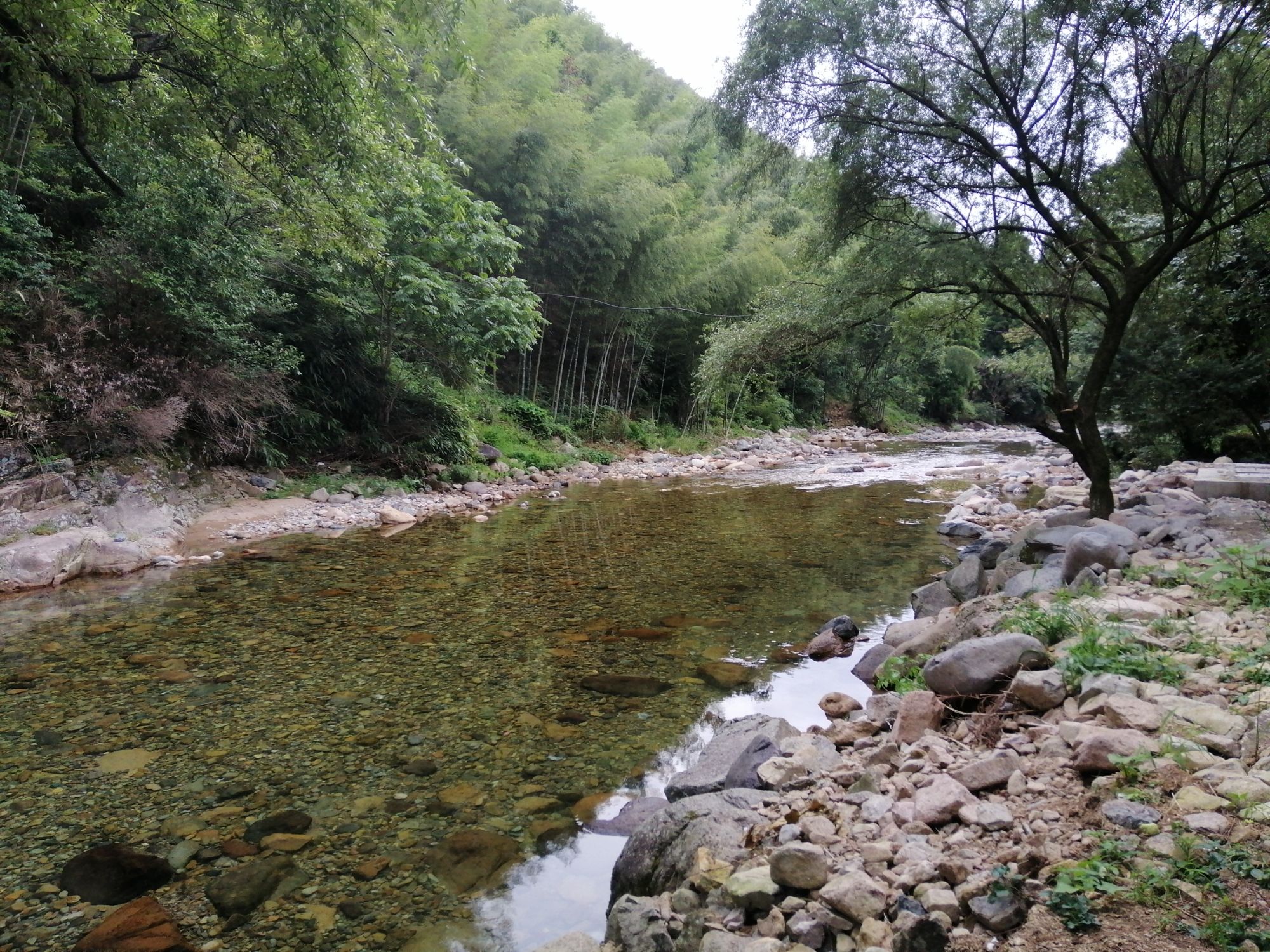 江西武夷山自然保护区旅行图片 1