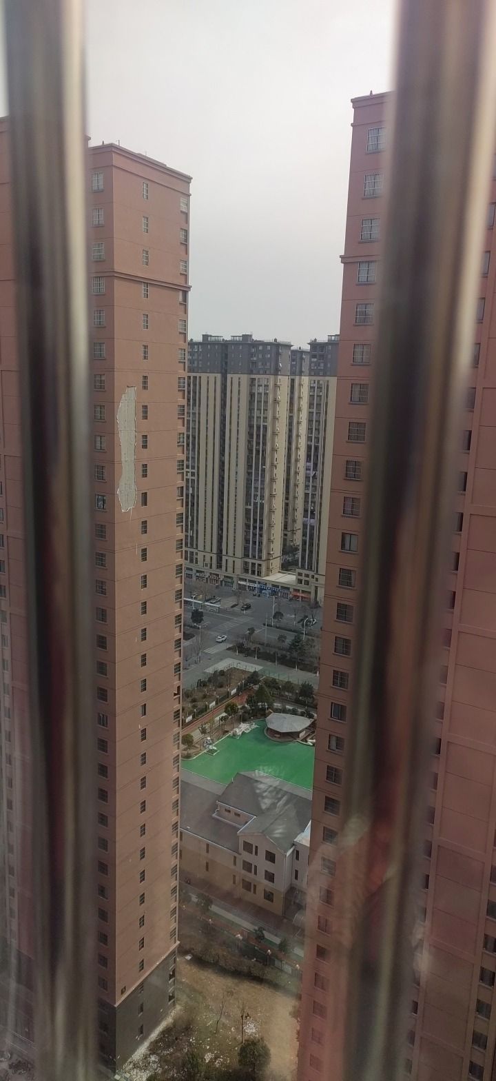 银通公园旅行图片 3