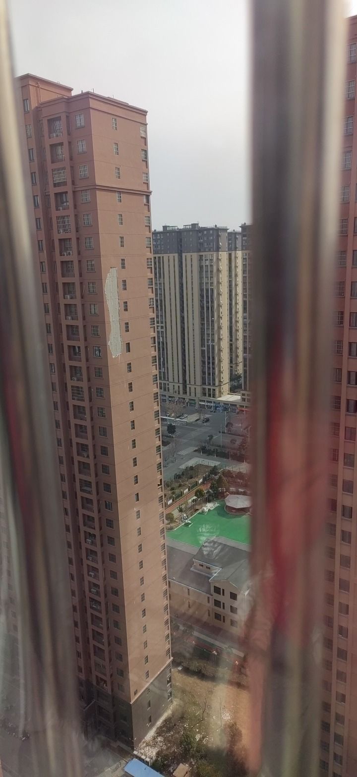 银通公园旅行图片 1
