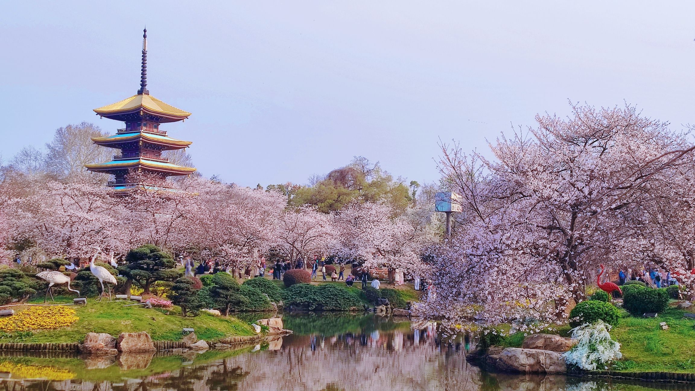 十里樱花园旅行图片 2