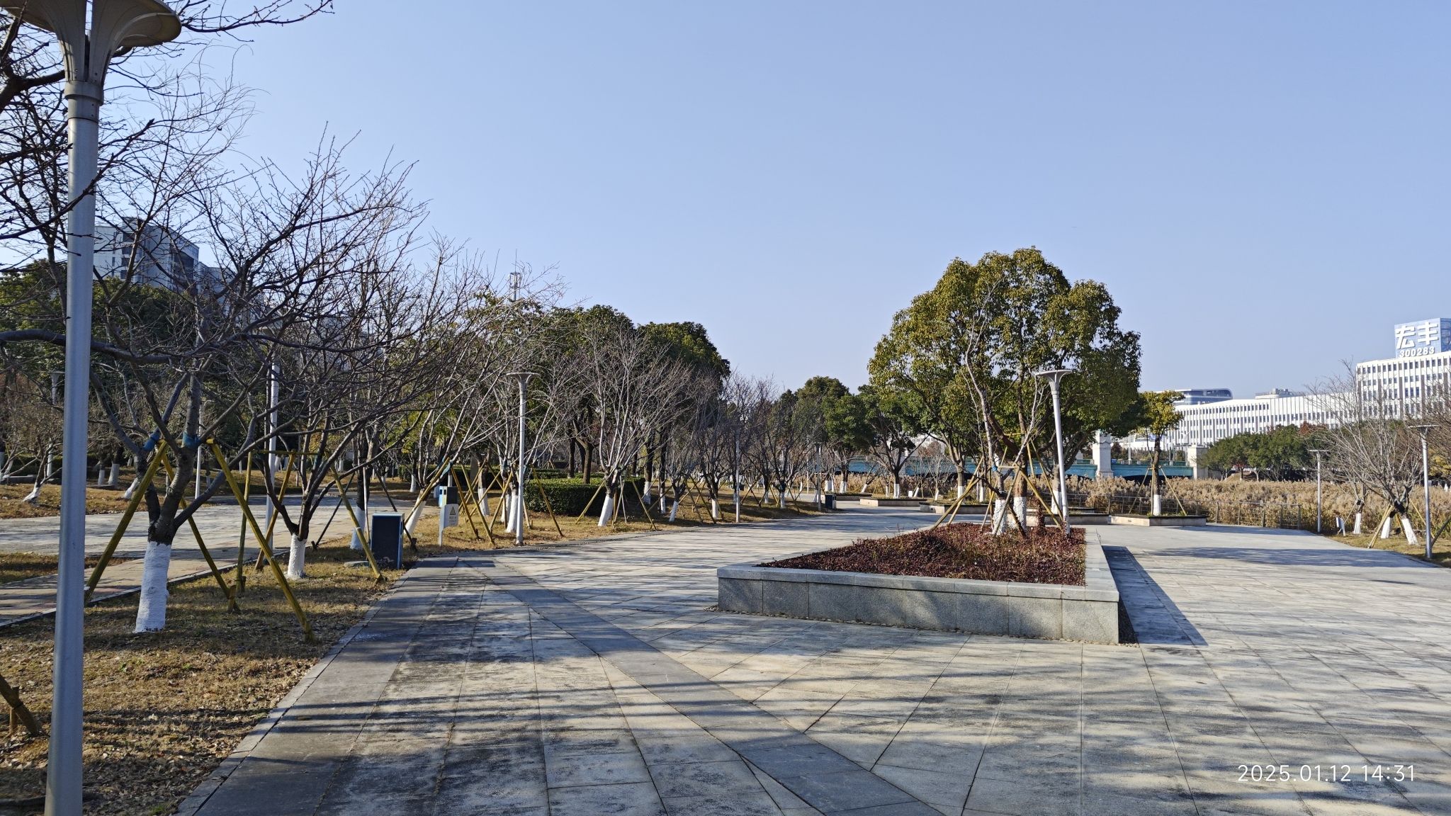 十里樱花园旅行图片 1