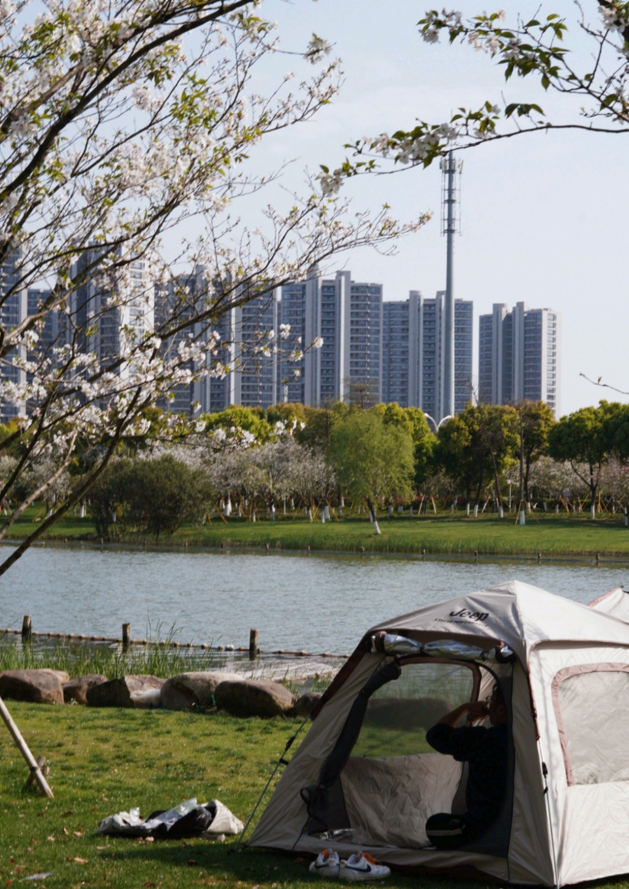 十里樱花园旅行图片 2