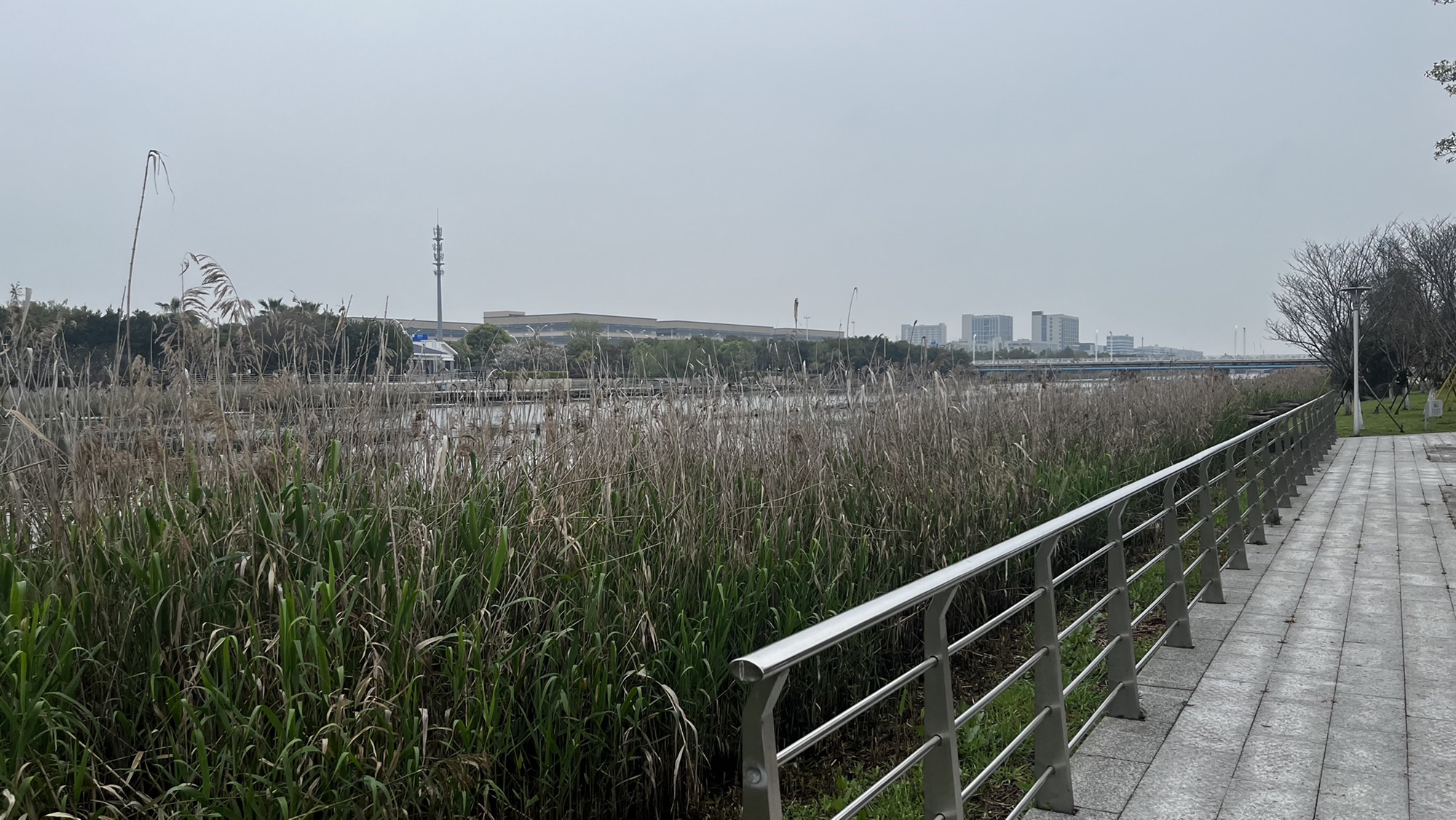 十里樱花园旅行图片 1