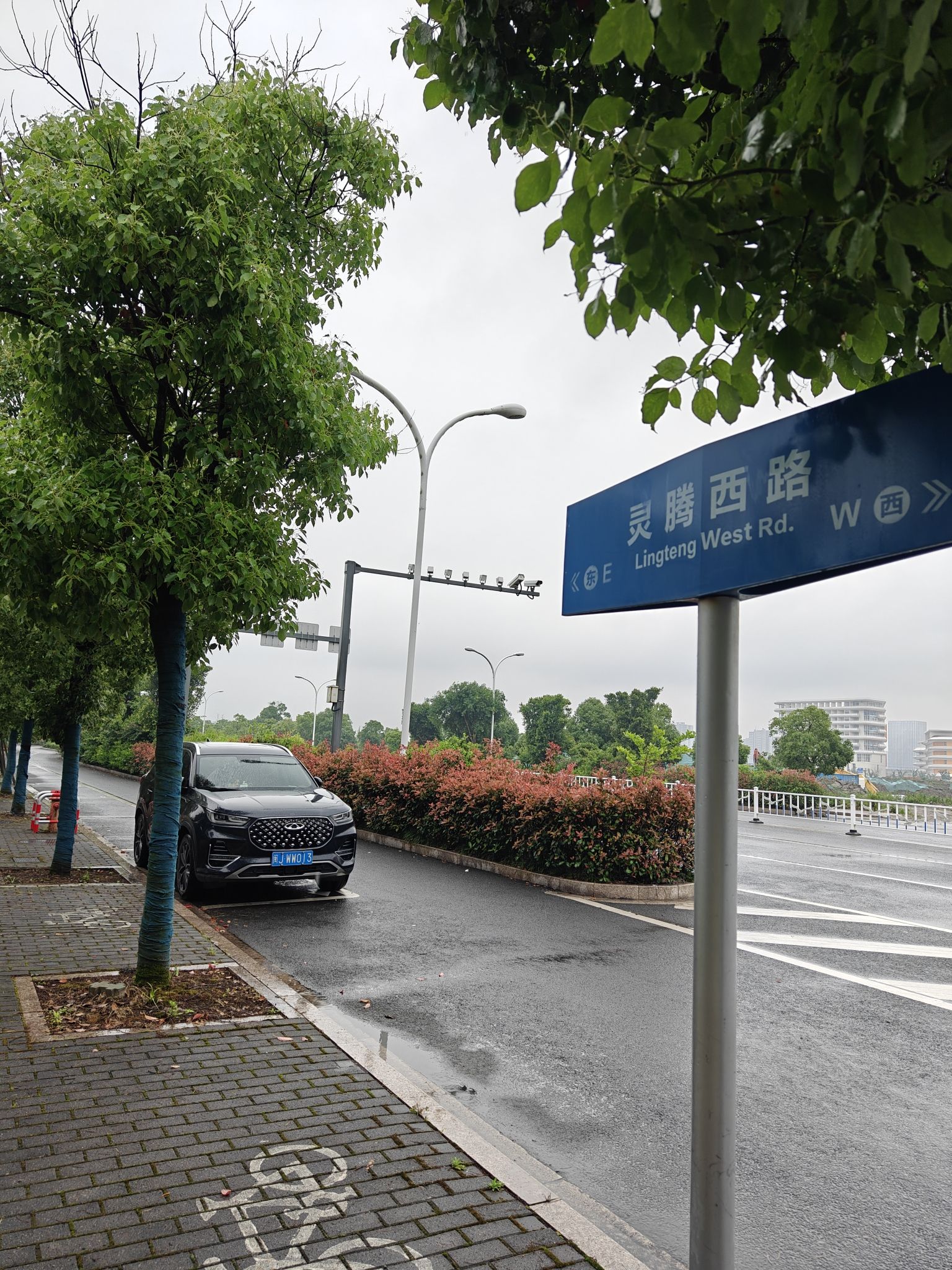 十里樱花园旅行图片 2