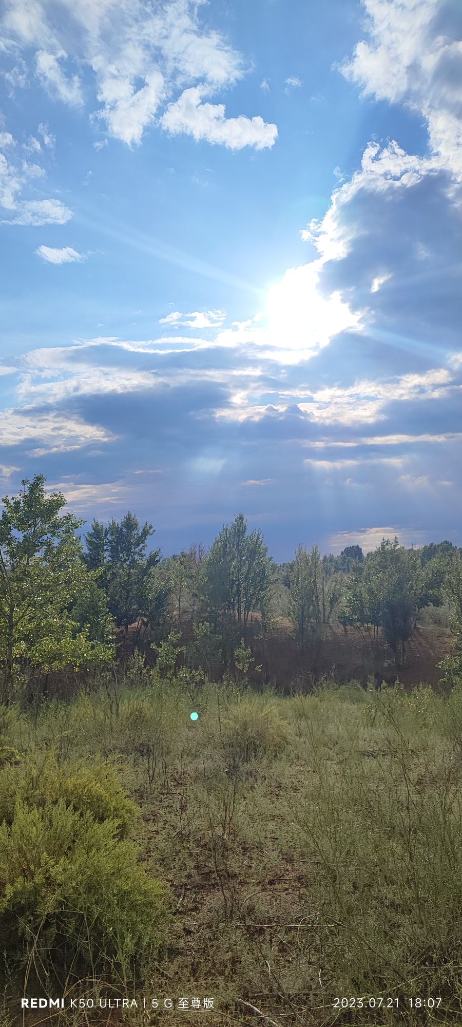蚂蚁森林222号林·沙柳旅行图片 1