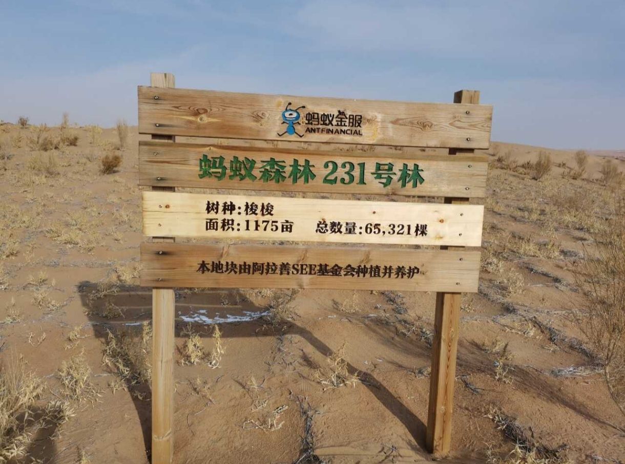 蚂蚁森林231号林·梭梭旅行图片 1