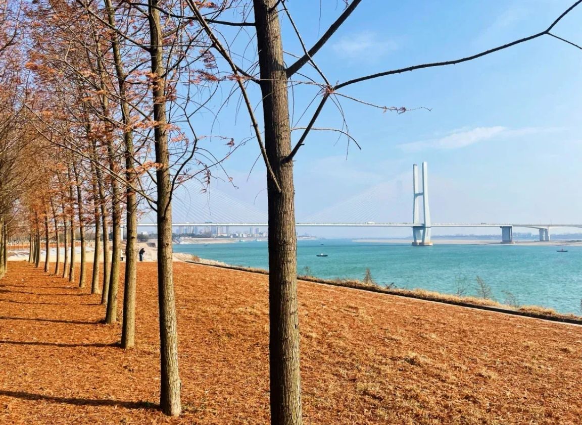 临江仙滨江公园