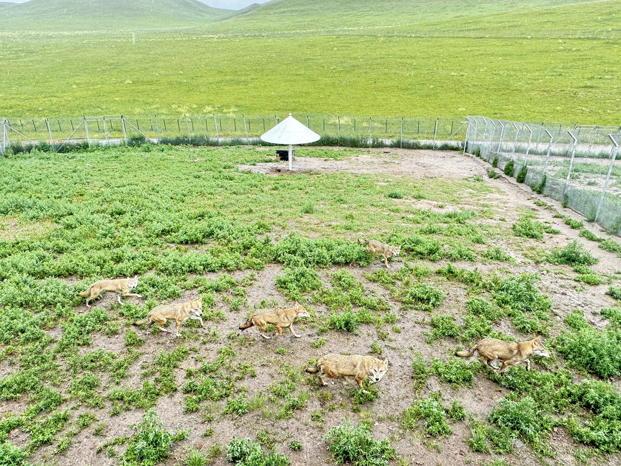 乌拉盖野狼谷景区(暂停开放)旅行图片 3