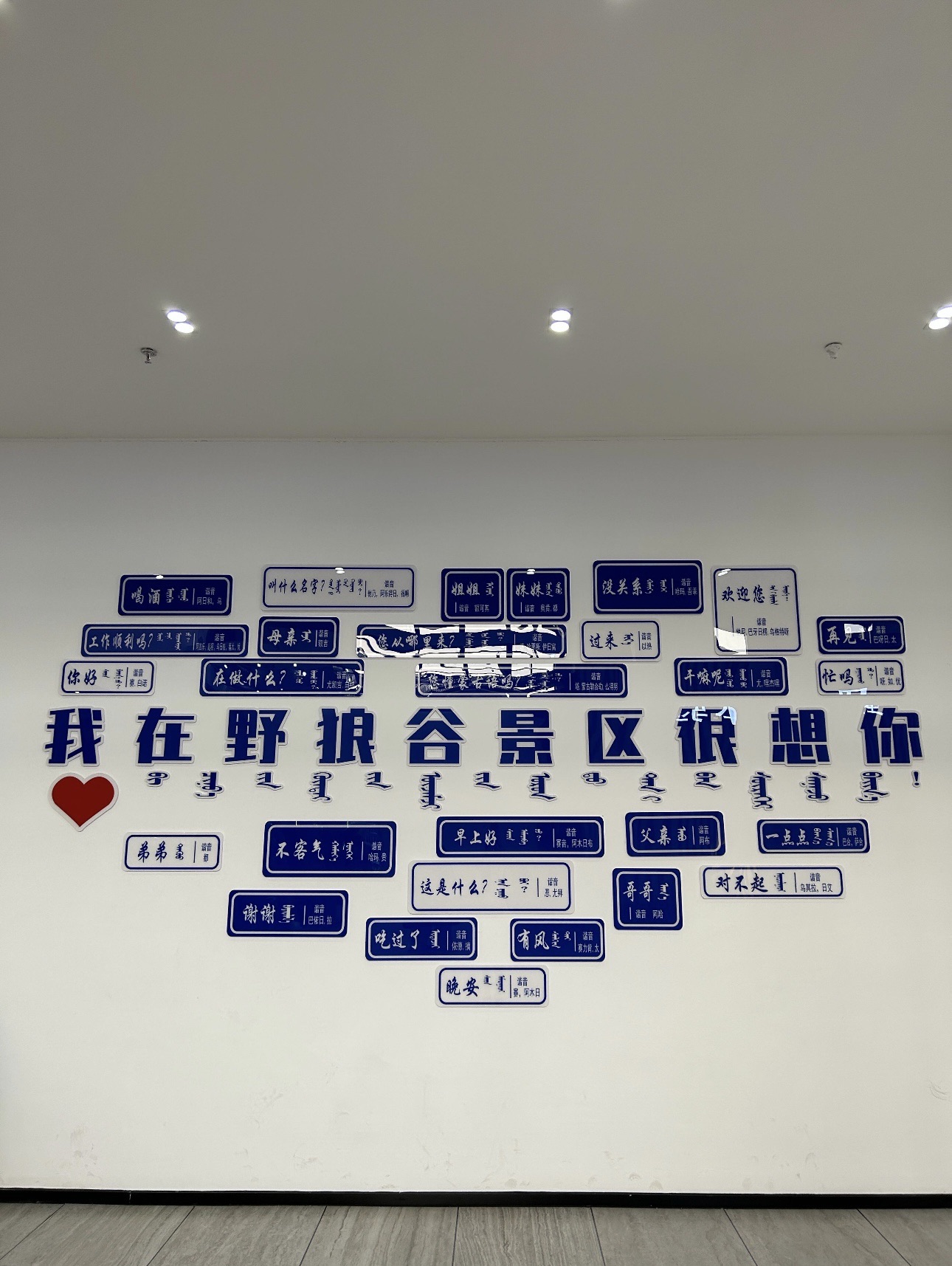 乌拉盖野狼谷景区(暂停开放)旅行图片 3