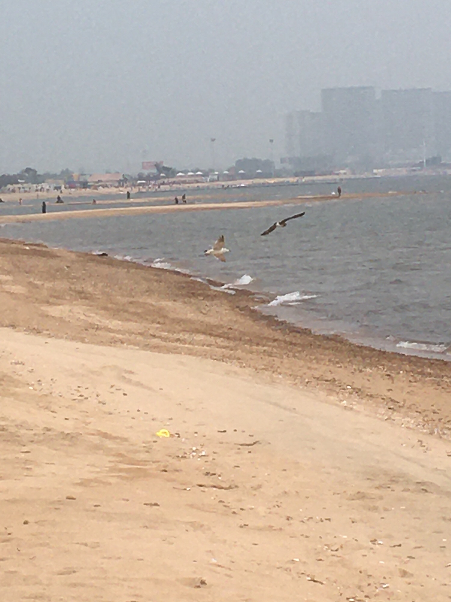 德众海滩旅行图片 1
