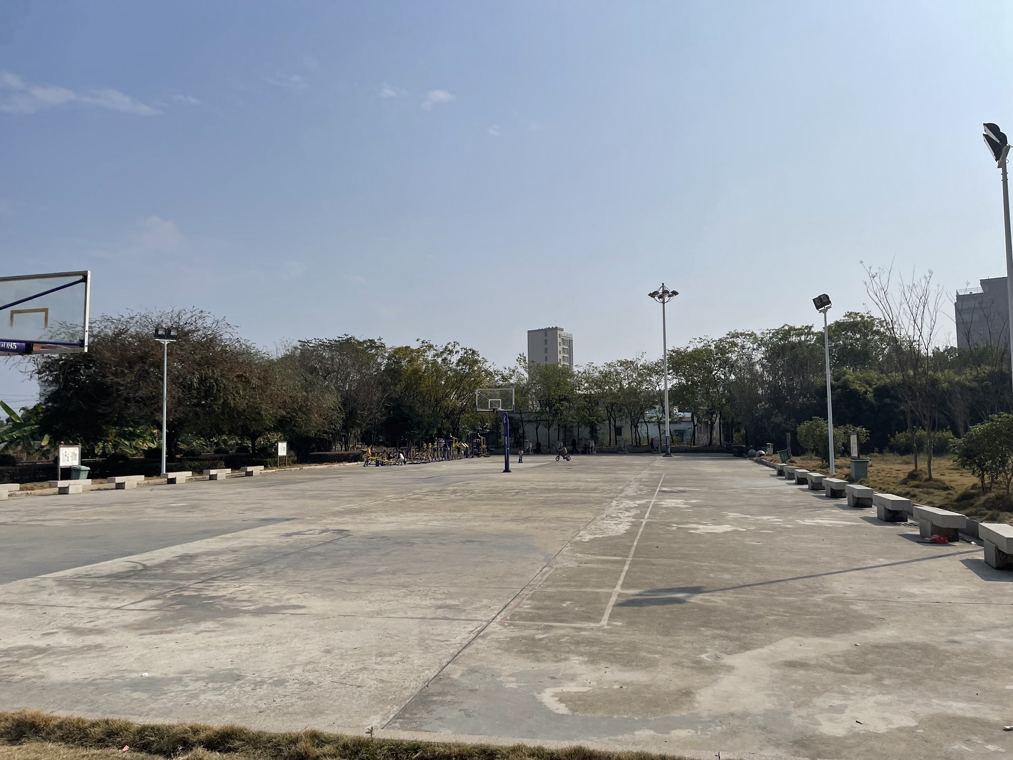湖东公园旅行图片 3